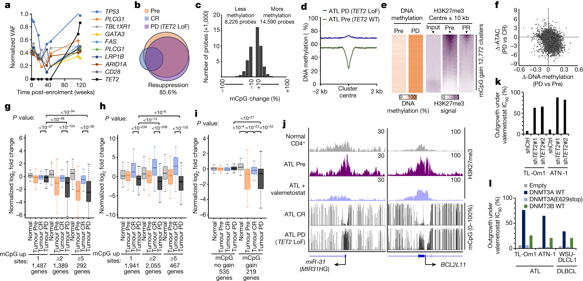 Fig. 4: Non-genetic mechanisms of resistance to valemetostat.