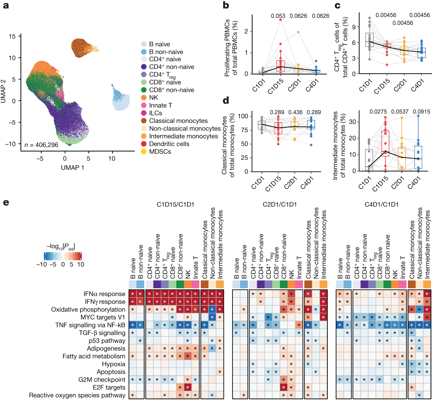 Fig. 3: Tiragolumab plus atezolizumab leads to T, NK and myeloid cell activation in PBMCs.