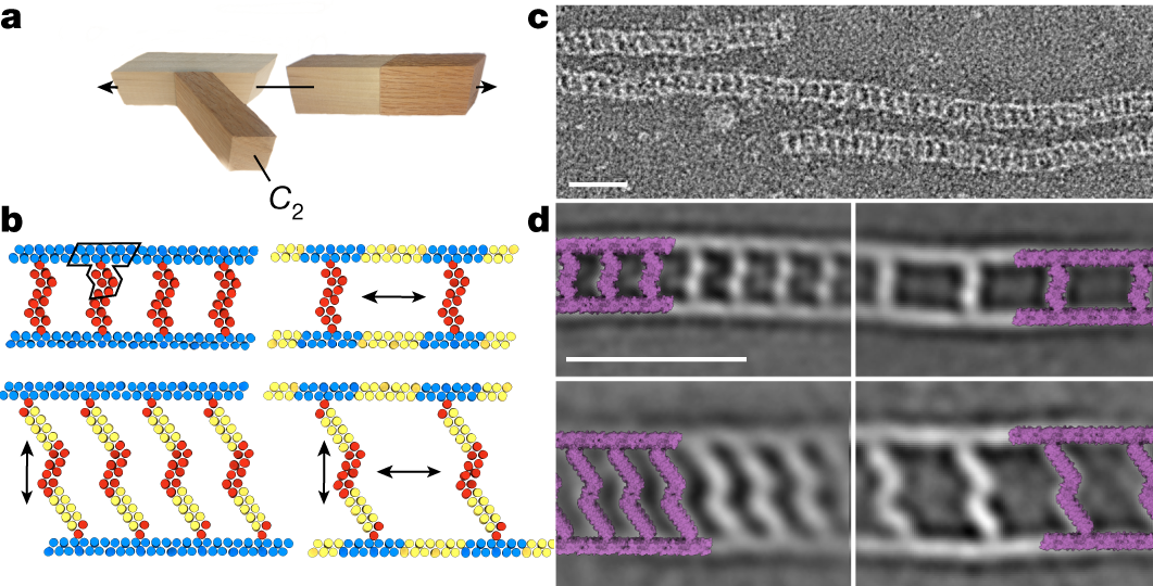 Fig. 6: Designed train track fibres.