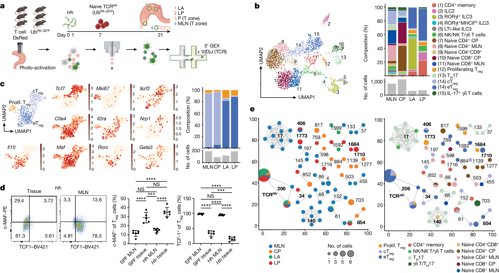 Fig. 2: cTreg cell and eTreg cell populations are transcriptionally and spatially distinct.