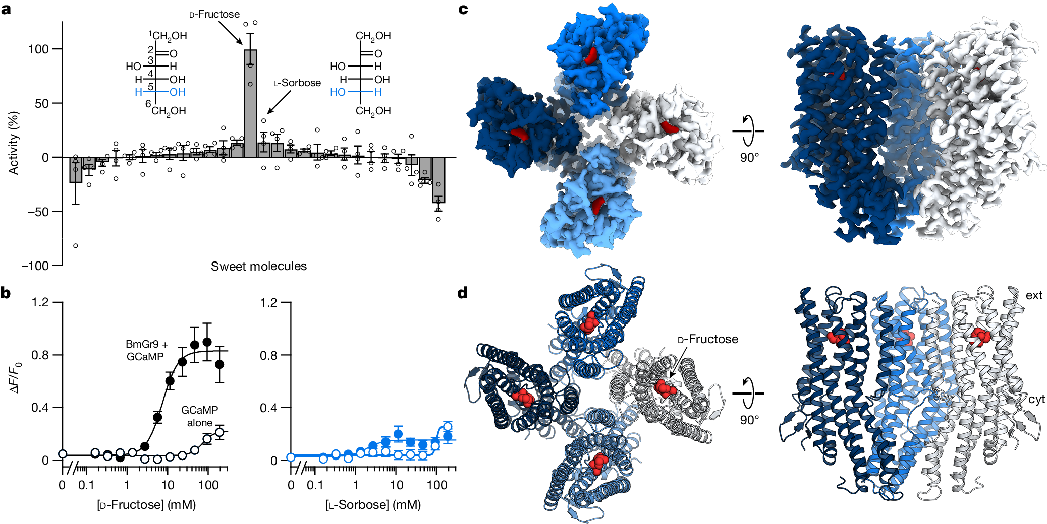 3D waldo forced sex The molecular basis of sugar detection by an insect taste receptor | Nature