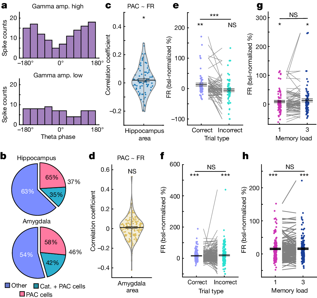 Fig. 4: PAC neuron selection and local activity.