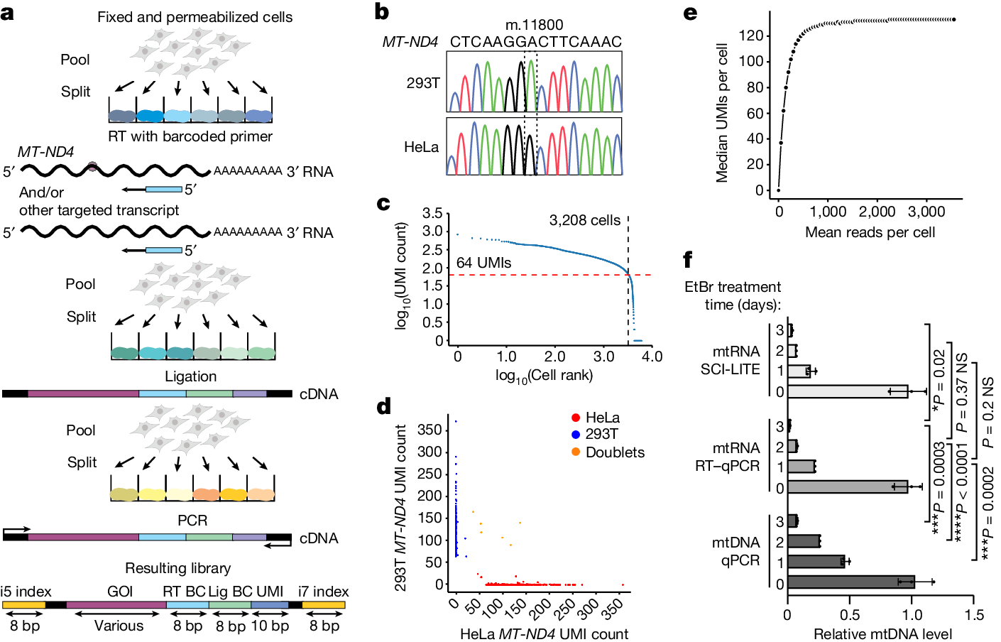 Fig. 1: SCI-LITE enables ultra-high-throughput analysis of targeted transcripts in single cells.