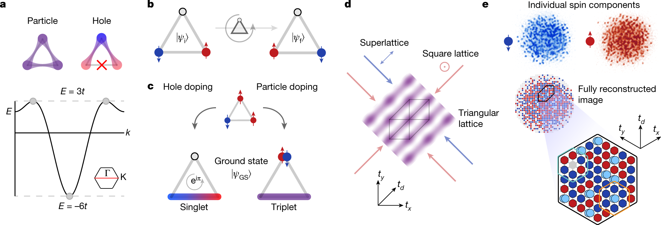 Directly imaging spin polarons in a kinetically frustrated Hubbard system |  Nature