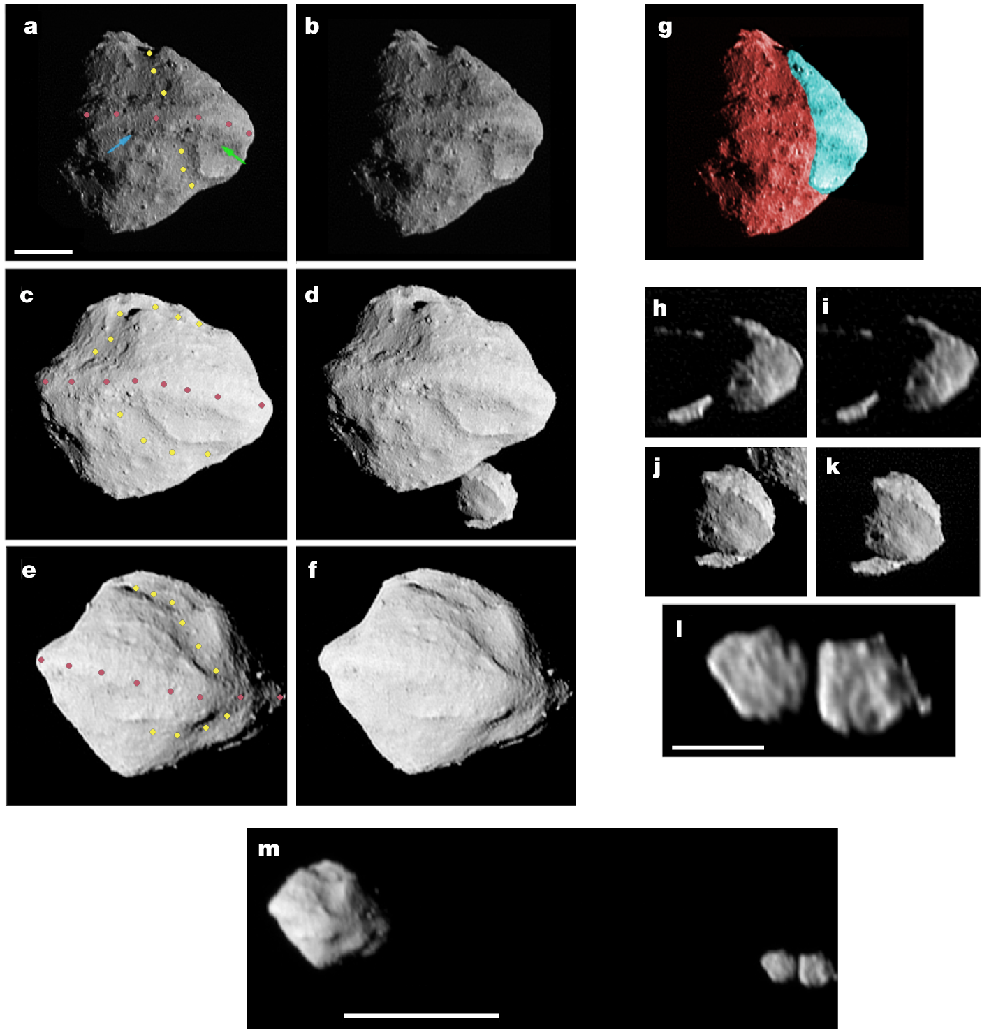 A contact binary satellite of the asteroid (152830) Dinkinesh