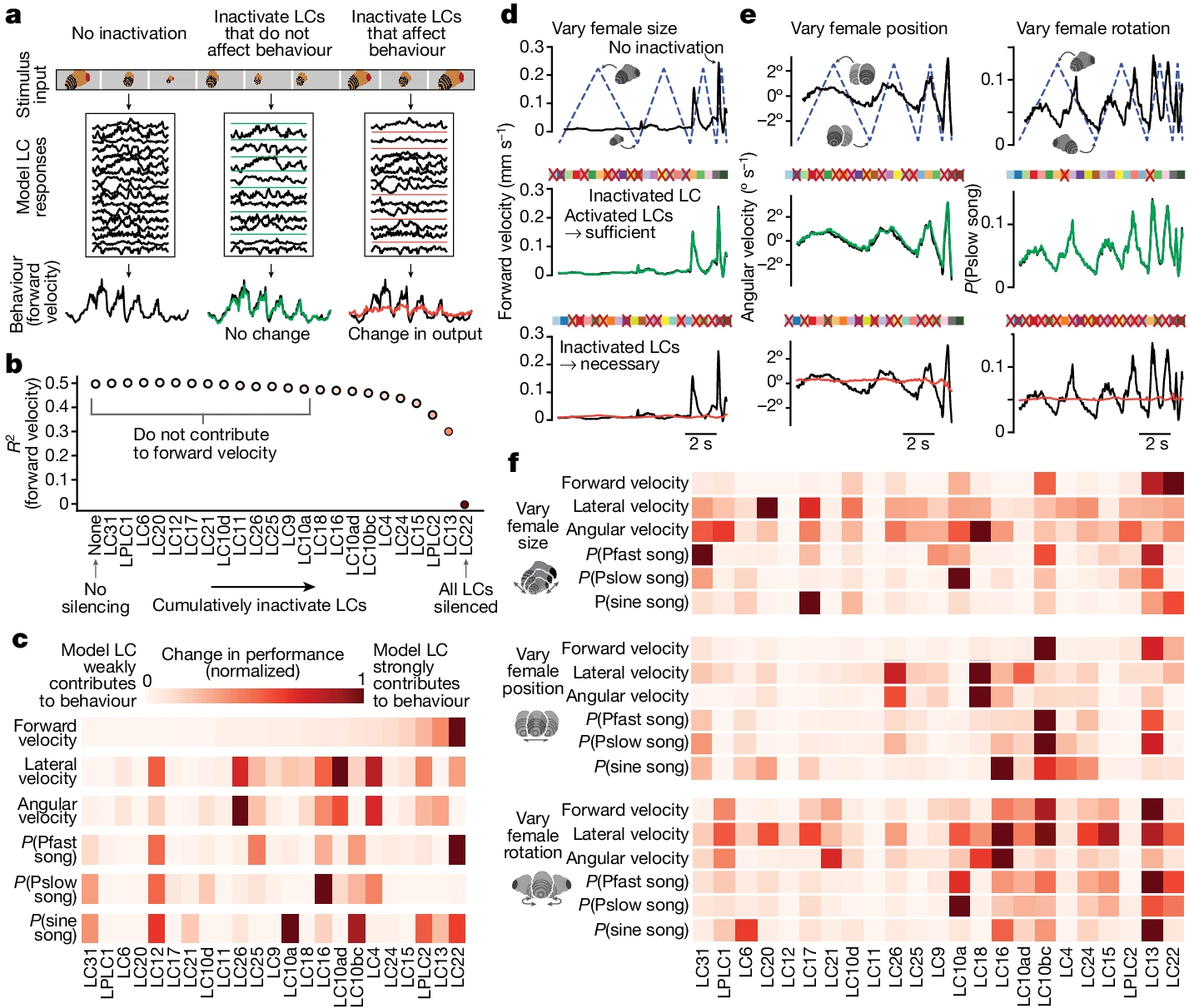 Mapping model units to visual neurons reveals population code for social behaviour