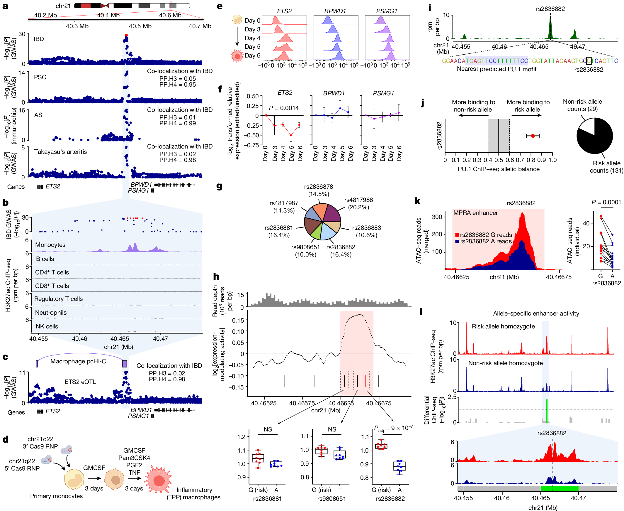Fig. 1: Resolving molecular mechanisms at chr21q22.