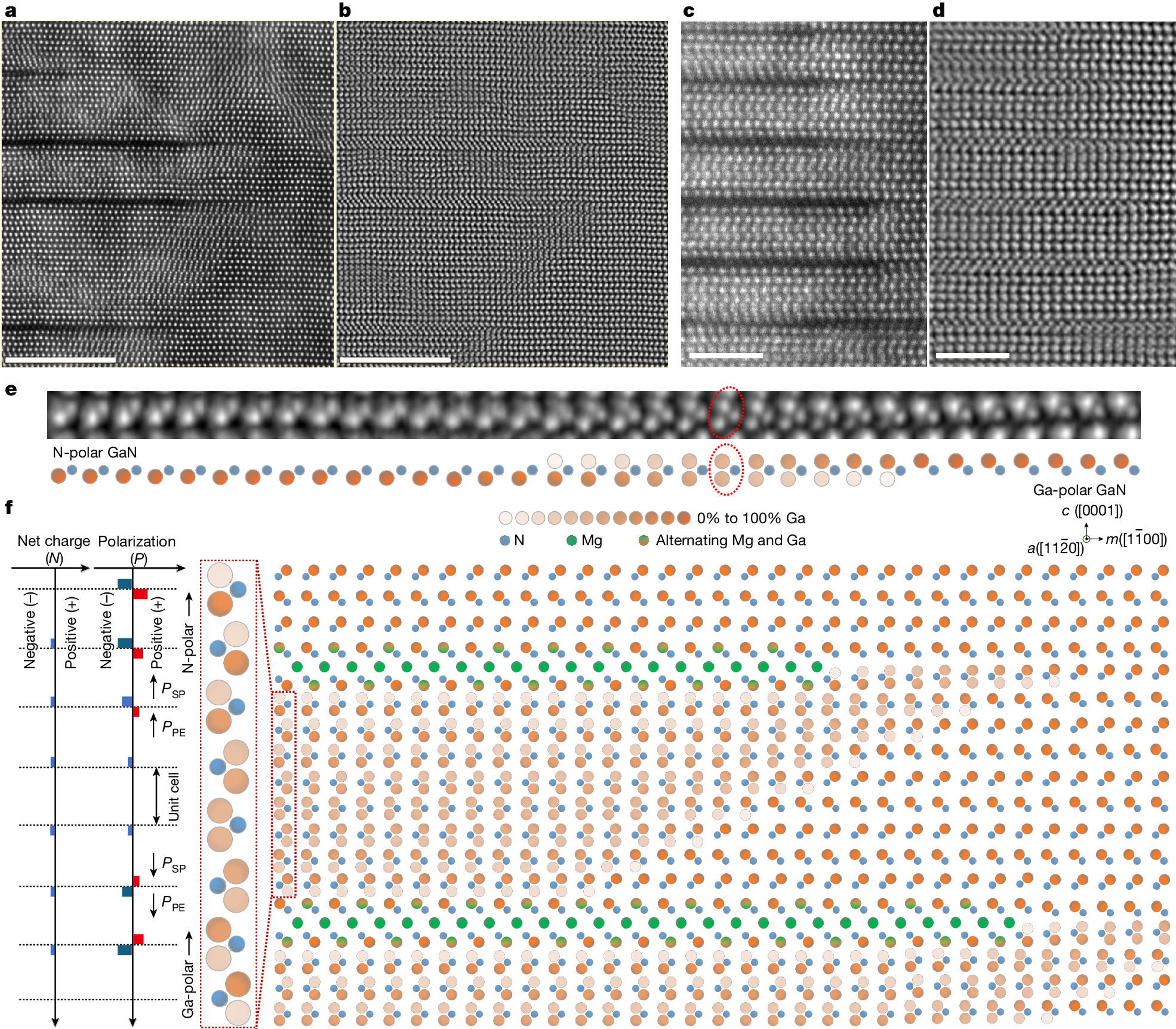 Fig. 2: Polarity transition induced by 2D-Mgi intercalant sheets.