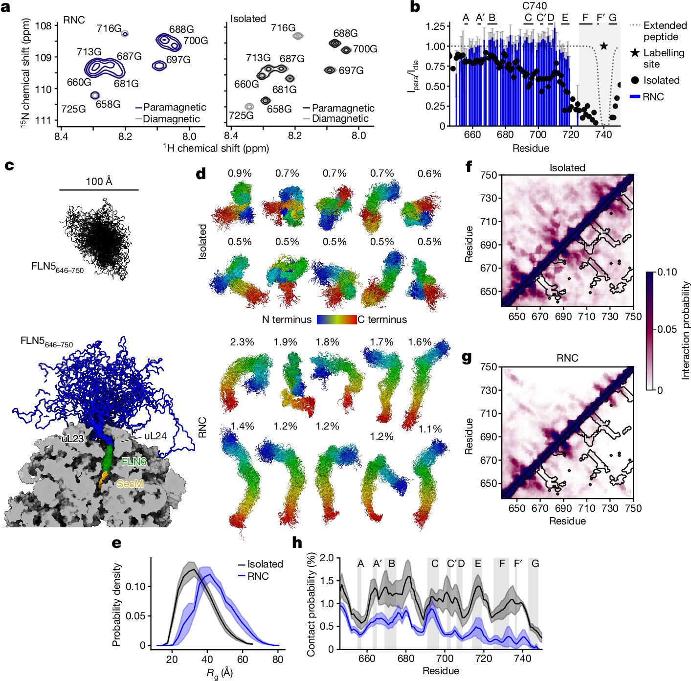 The ribosome lowers the entropic penalty of protein folding | Nature the-ribosome-lowers-the-entropic-penalty-of-protein-folding-nature
