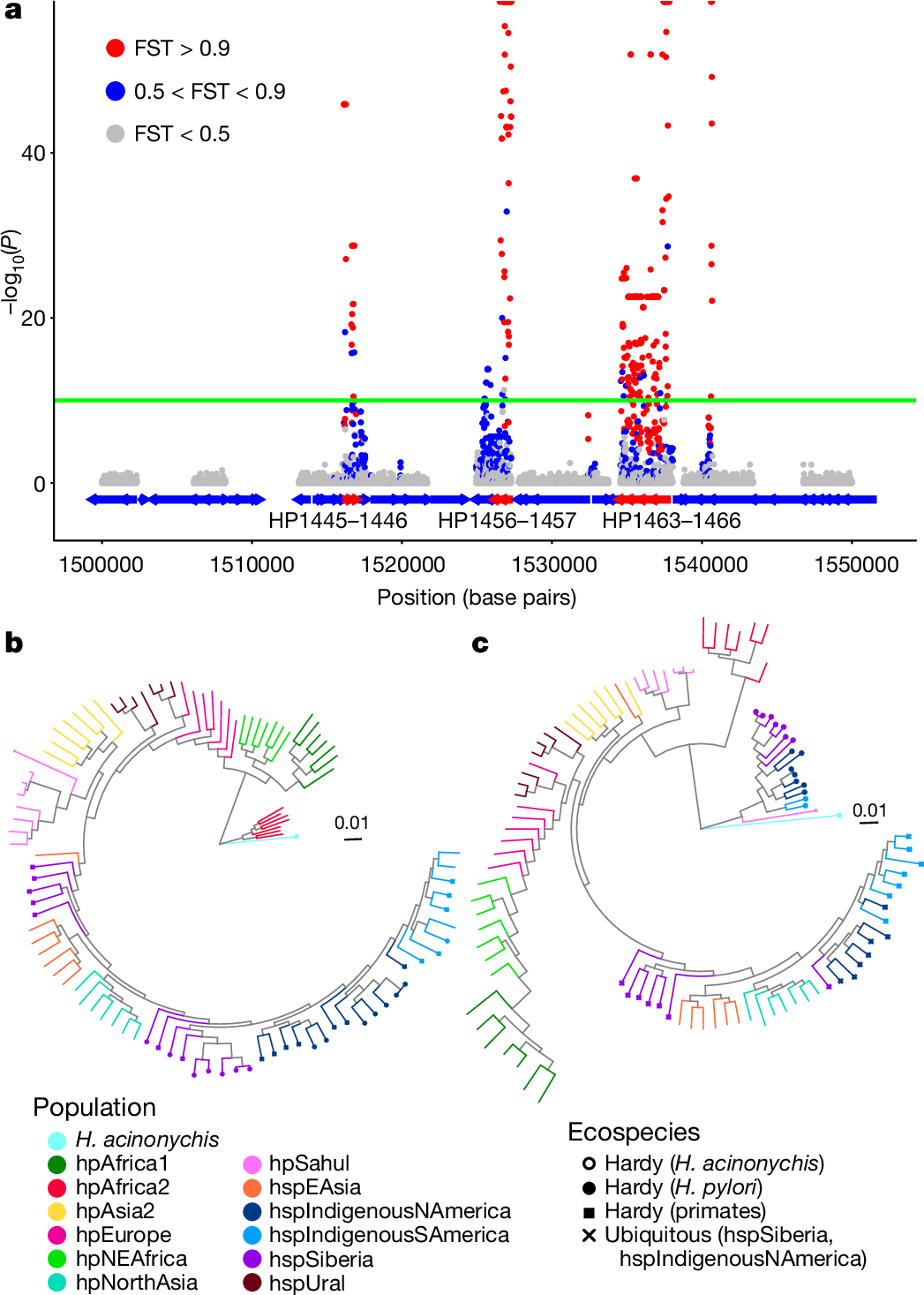 Fig. 1: Differentiation between Hardy and Ubiquitous strains is localized in the genome.