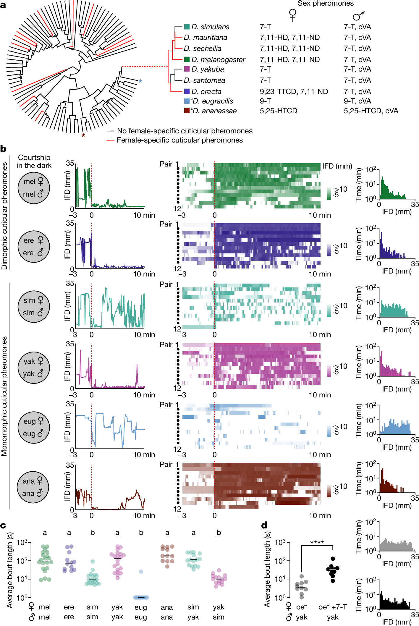 Fig. 1: Sexually ambiguous pheromones do not preclude courtship in the dark.