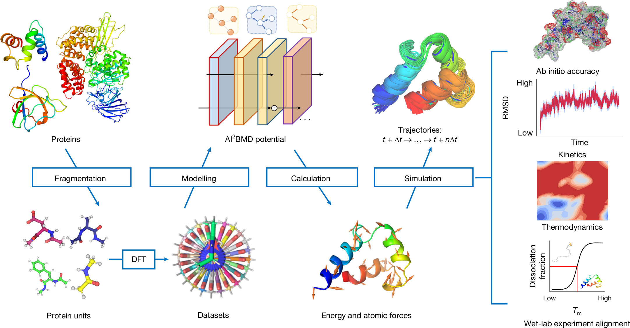 Ab initio characterization of protein molecular dynamics with 