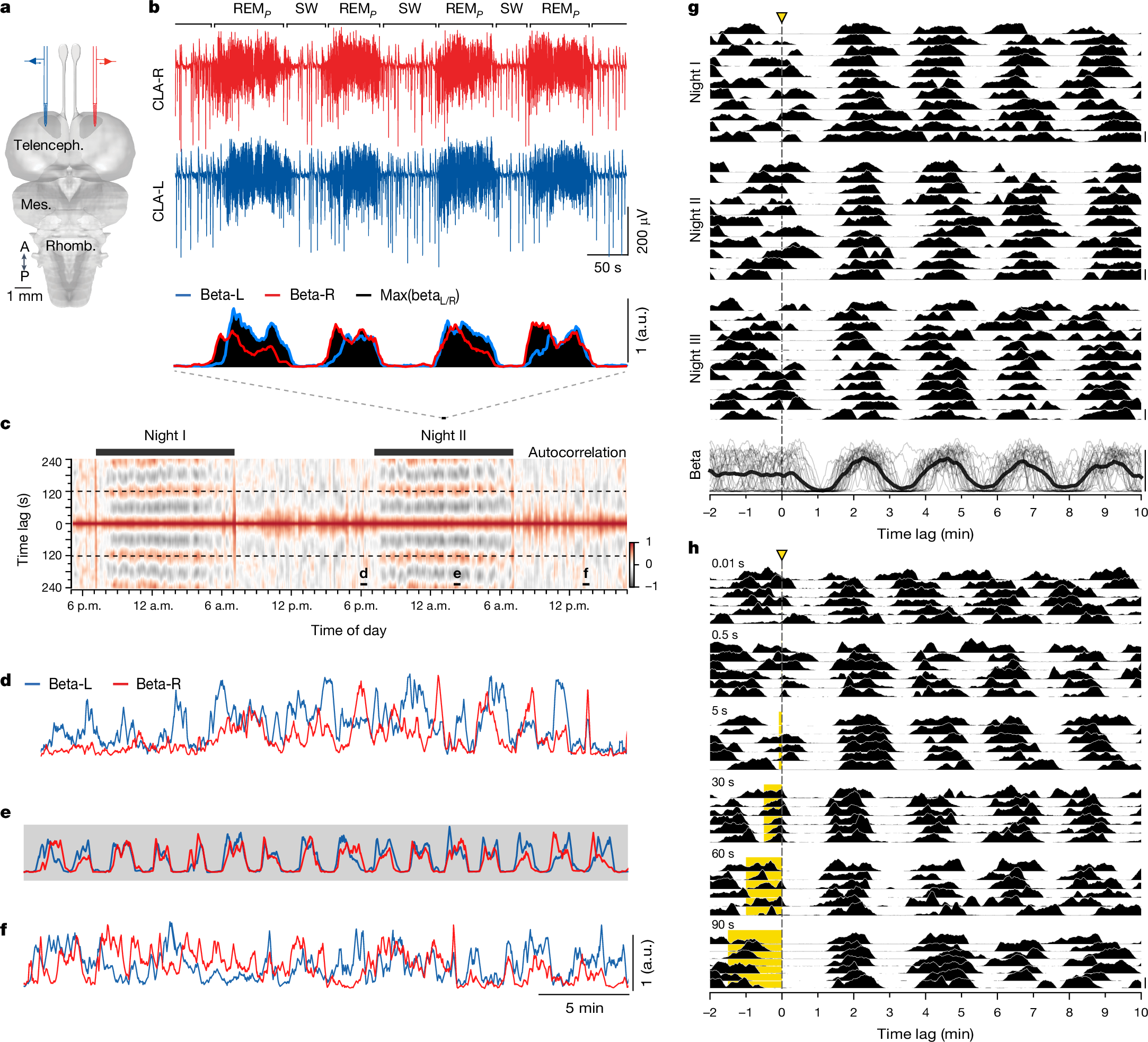 運動系制御と睡眠リズムの驚くべき関連性(A surprising link between motor systems control and sleep rhythms)