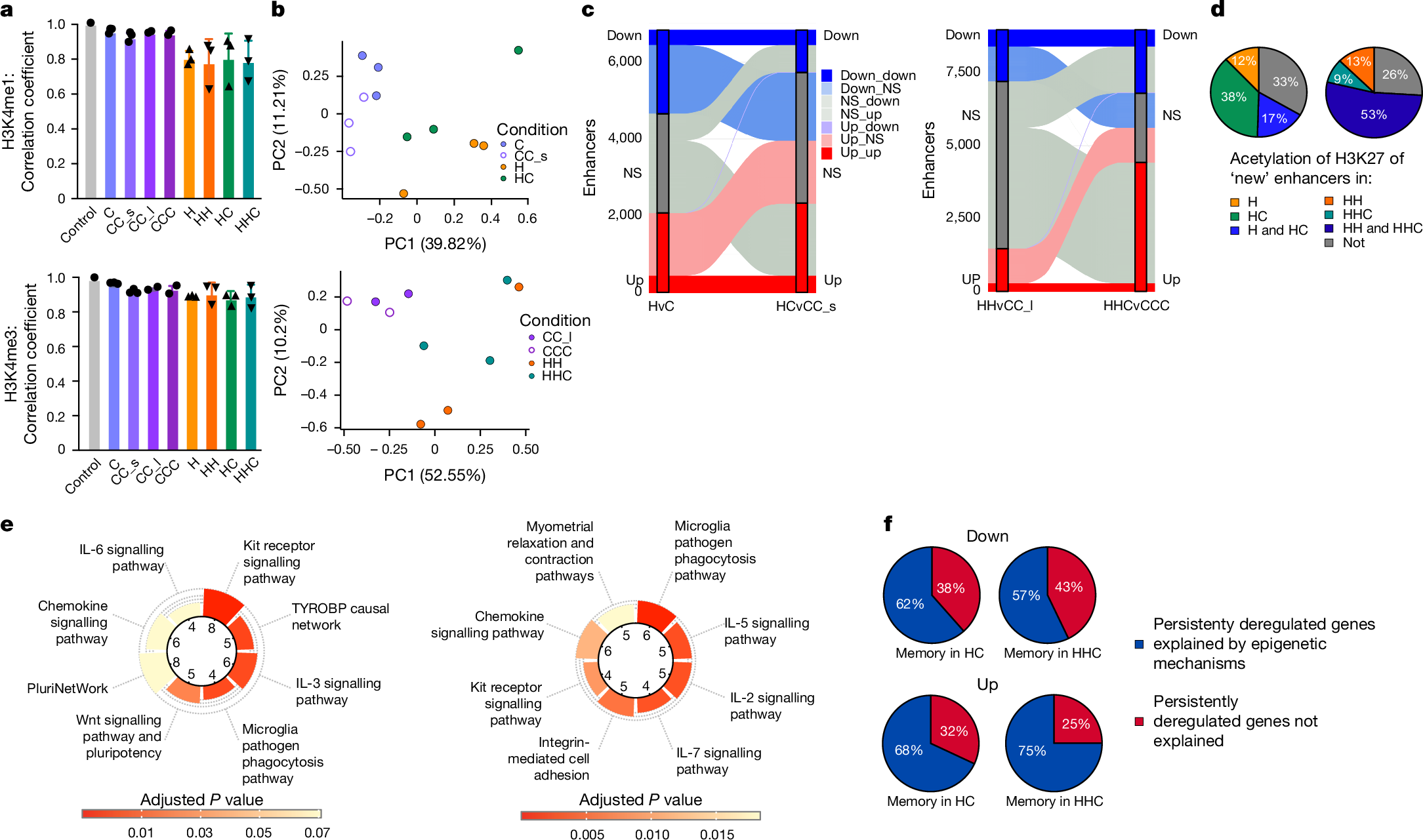Fig. 4: Adipocyte enhancers retain an epigenetic memory.
