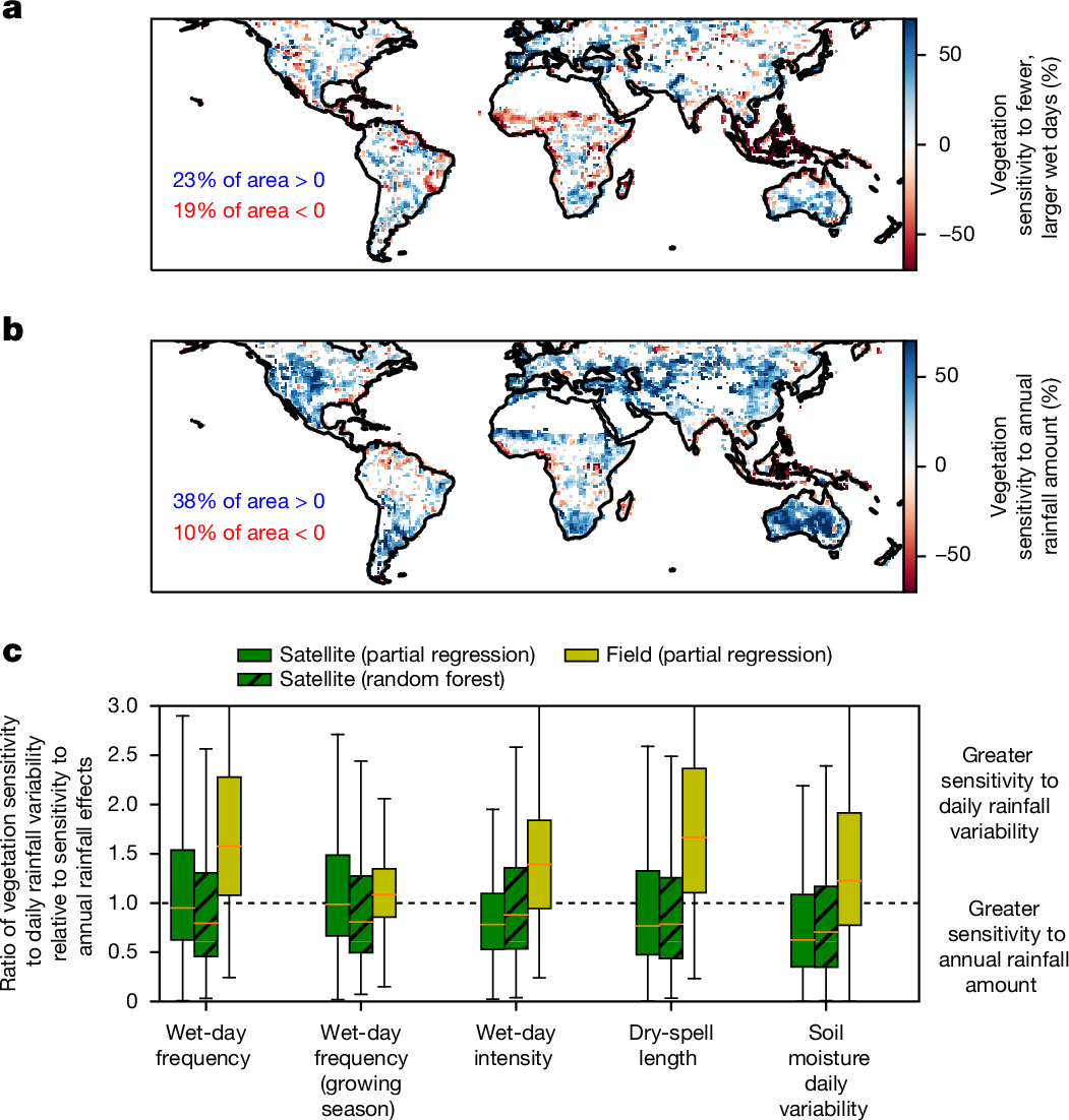 Large global-scale vegetation sensitivity to daily rainfall variability |  Nature