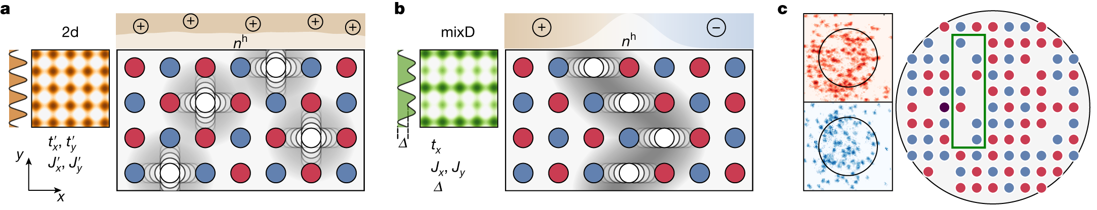 量子シミュレーションにおけるストライプ形成の兆候(Quantum simulation: First signs of stripe formation)