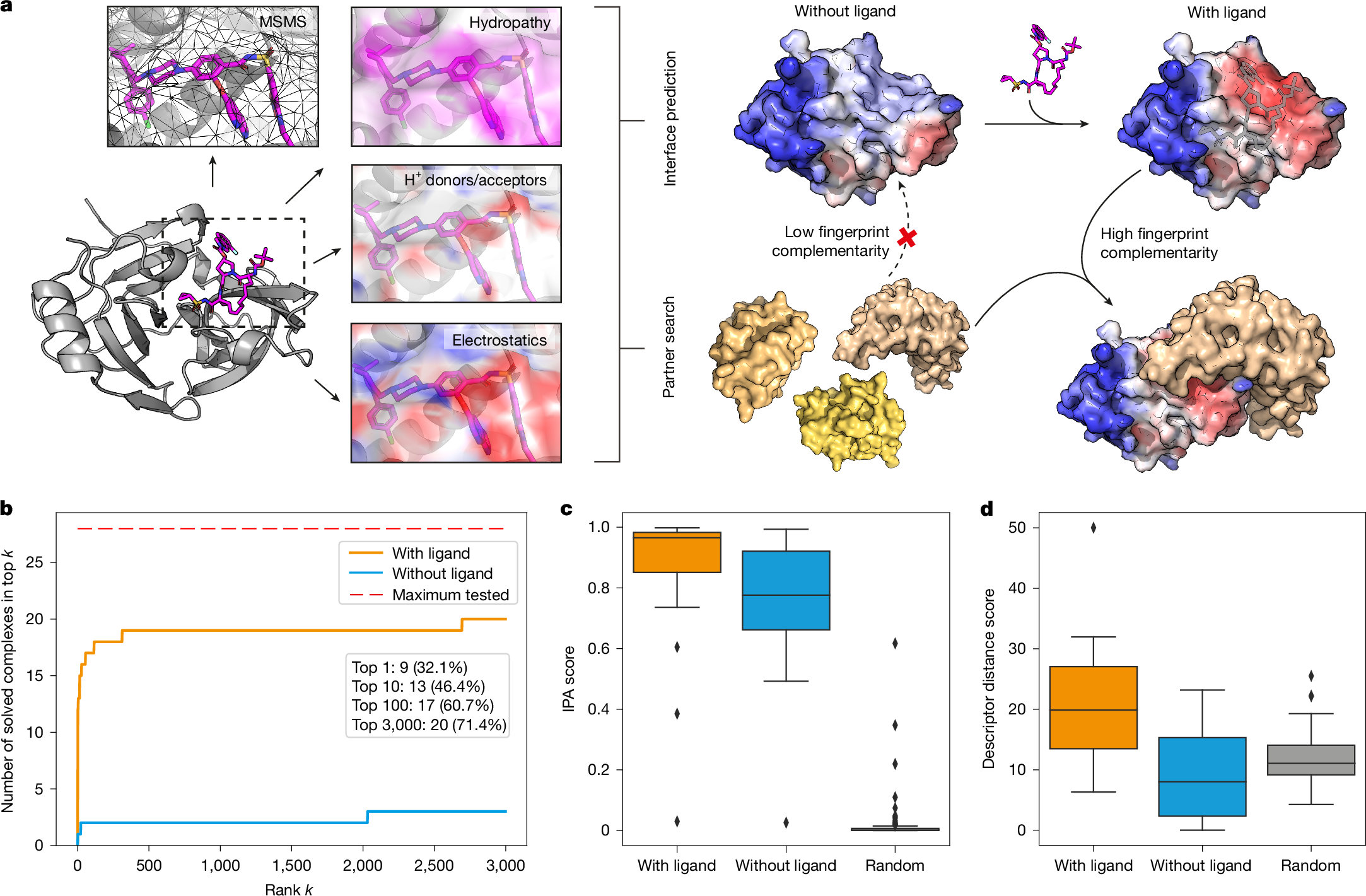 タンパク質相互作用を制御するディープラーニングパイプライン(A deep learning pipeline for controlling protein interactions)