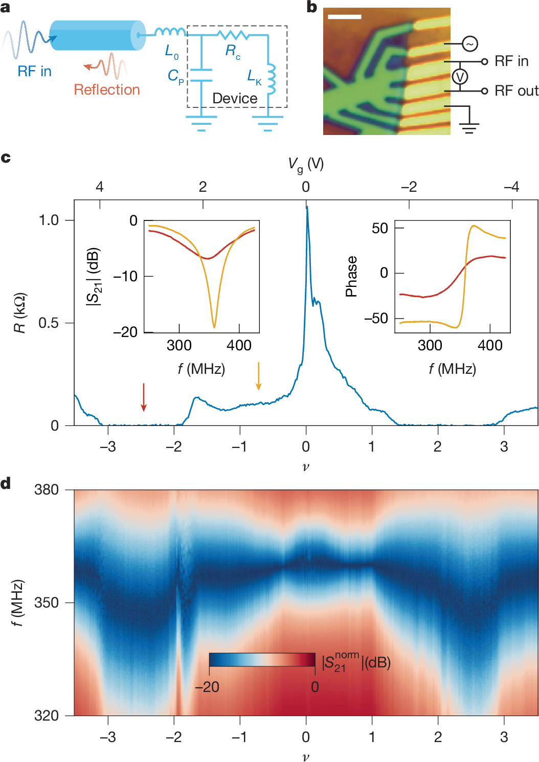 Superfluid stiffness of twisted trilayer graphene superconductors | Nature