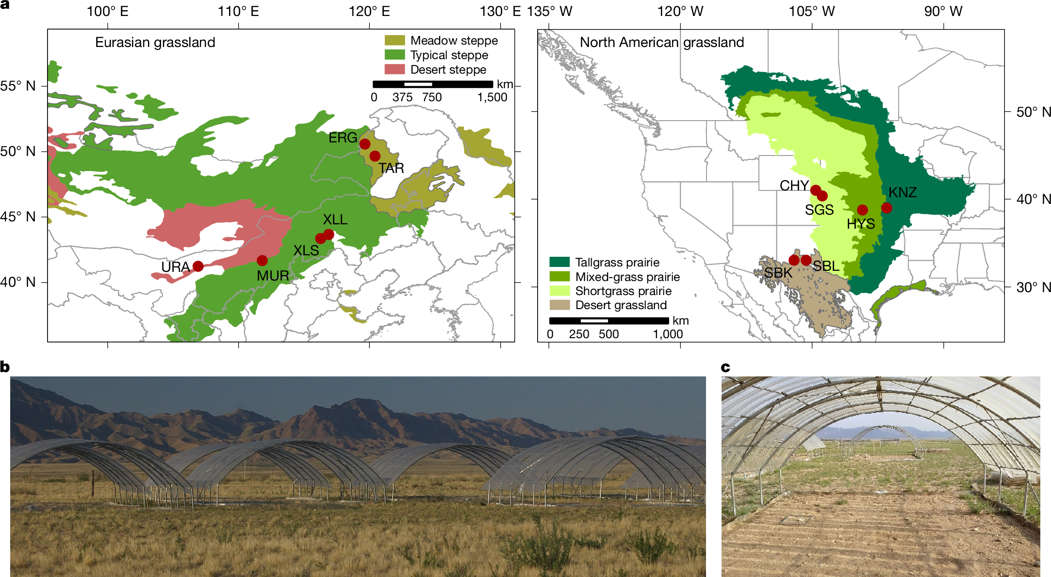 Contrasting drought sensitivity of Eurasian and North American grasslands |  Nature
