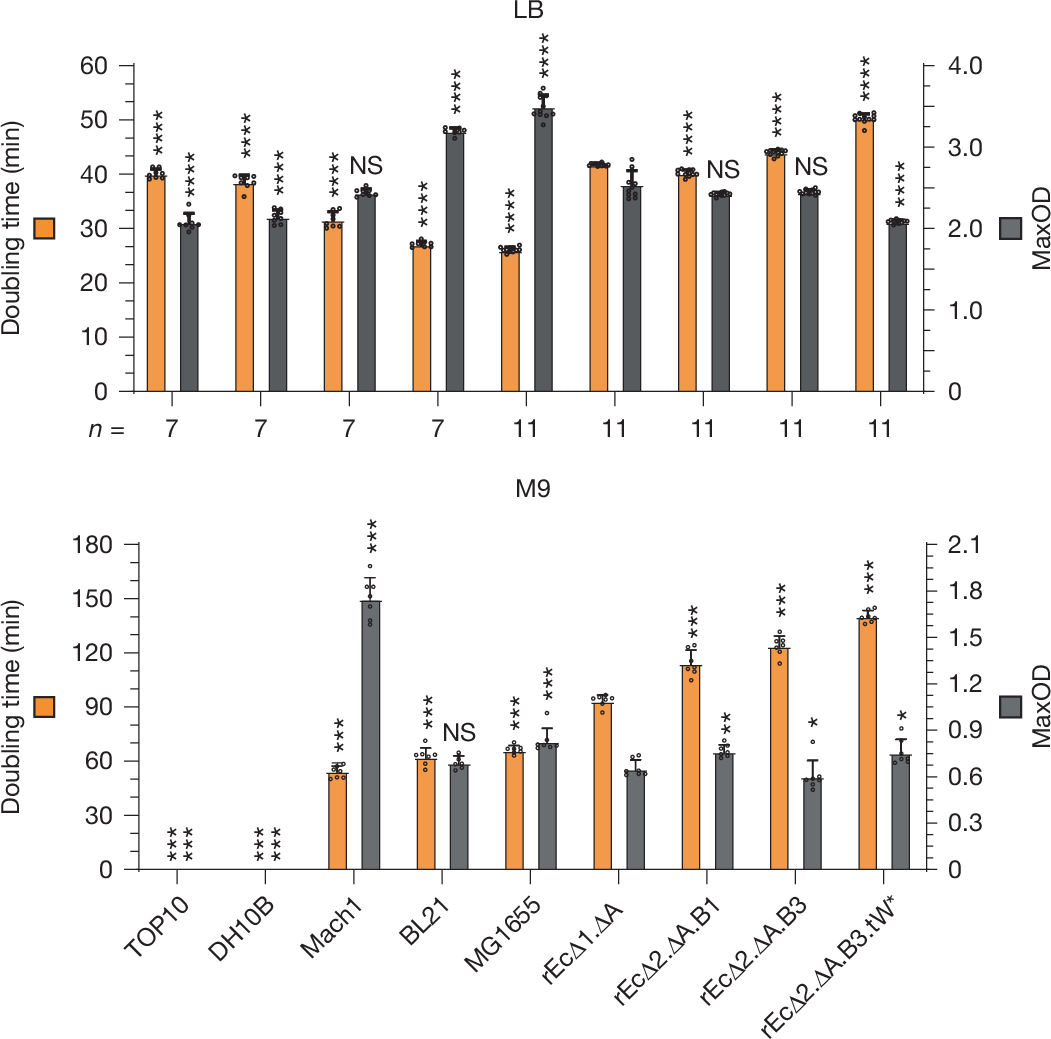 Fig. 5: Growth of recoded strains.