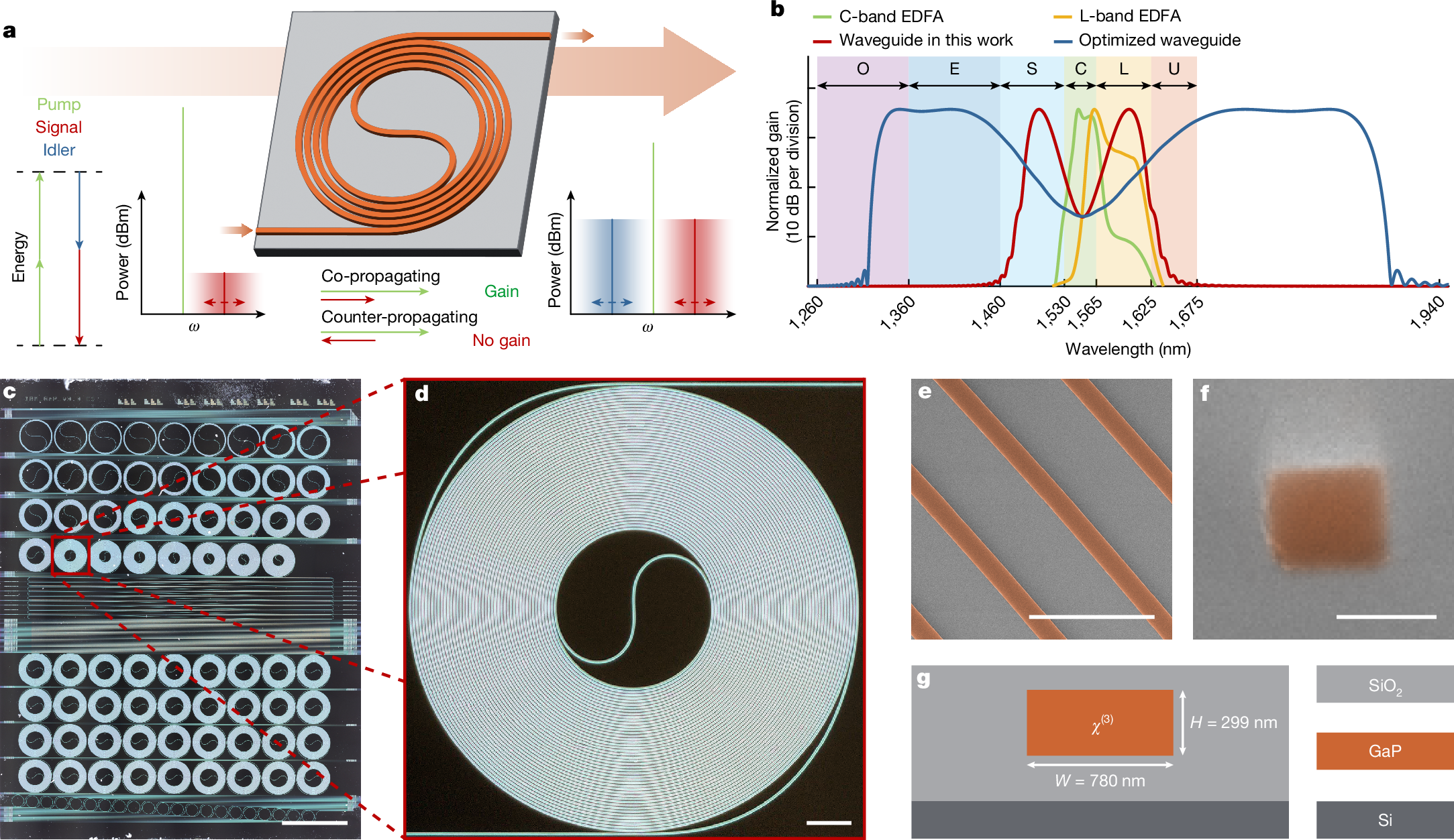 超広帯域フォトニックチップが光信号を増幅 (Ultra-broadband Photonic Chip Boosts Optical Signals)