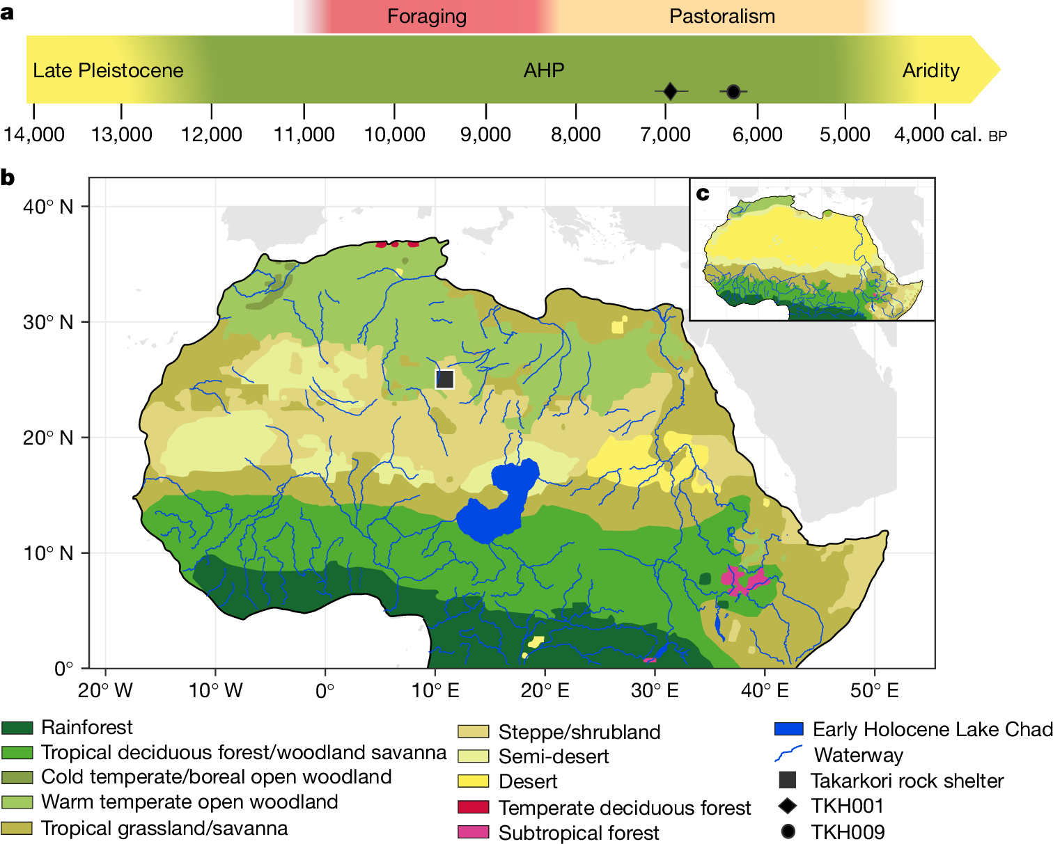 グリーンサハラから初の古代ゲノムを解読(First ancient genomes from the Green Sahara deciphered)