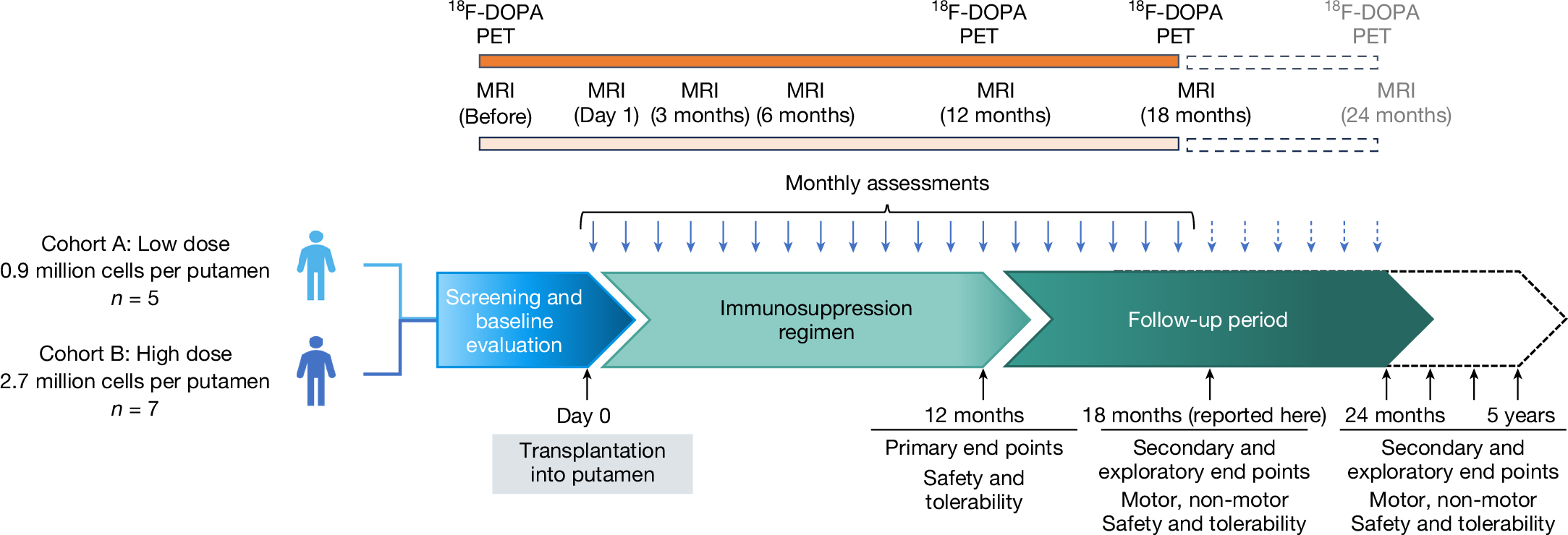 幹細胞由来治療がパーキンソン病に初期的効果(Potential Treatment for Parkinson’s Using Investigational Cell Therapy Shows Early Promise)