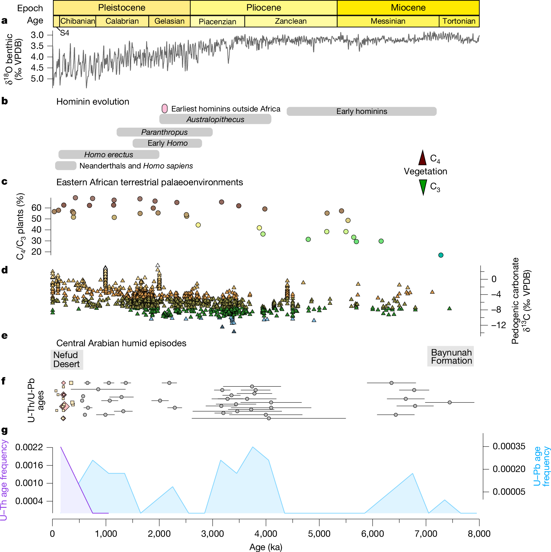 Fig. 2: Central Arabian speleothems reveal the episodic occurrence of humid intervals over the past 8 Myr.