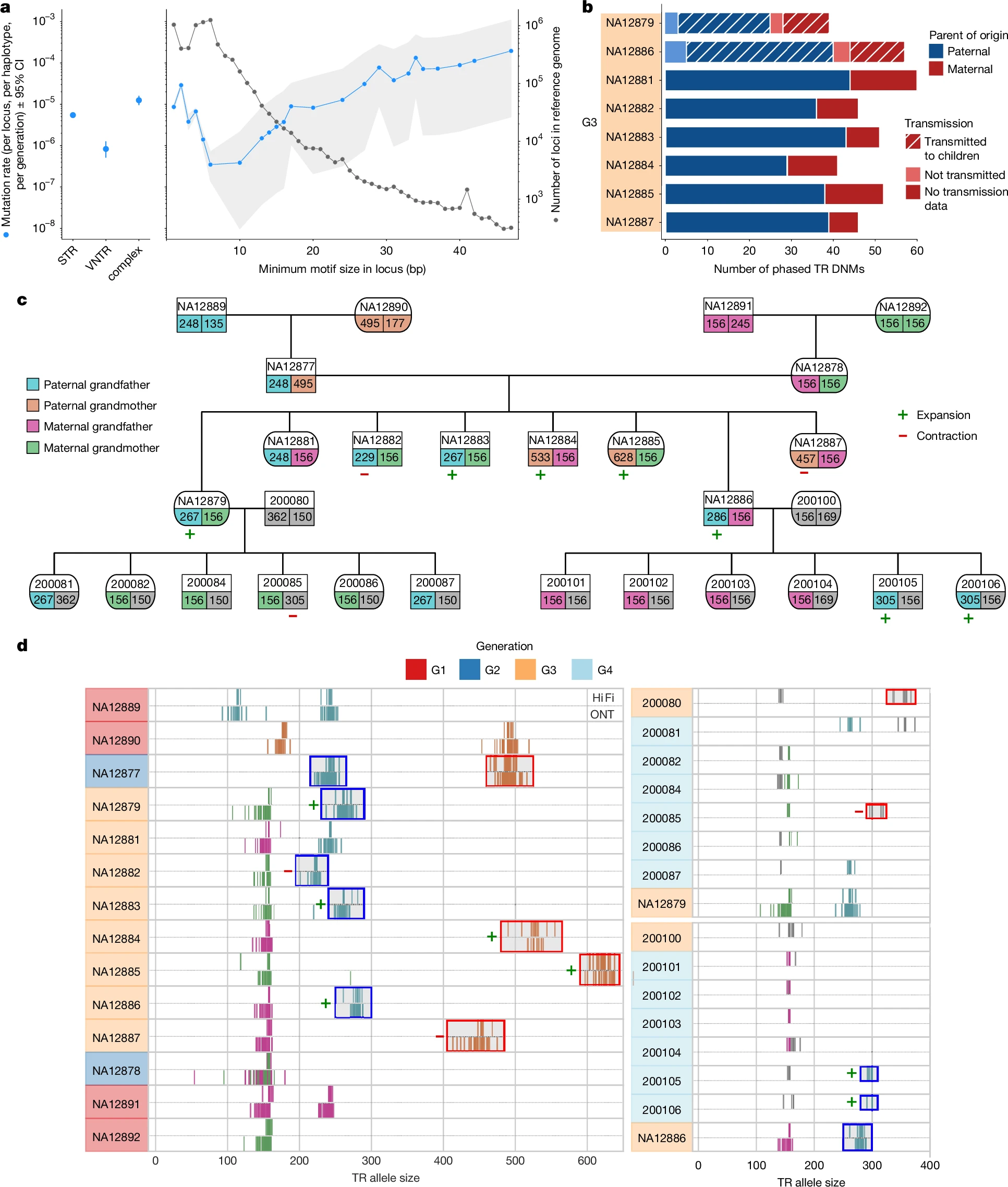 Human de novo mutation rates from a four-generation pedigree reference