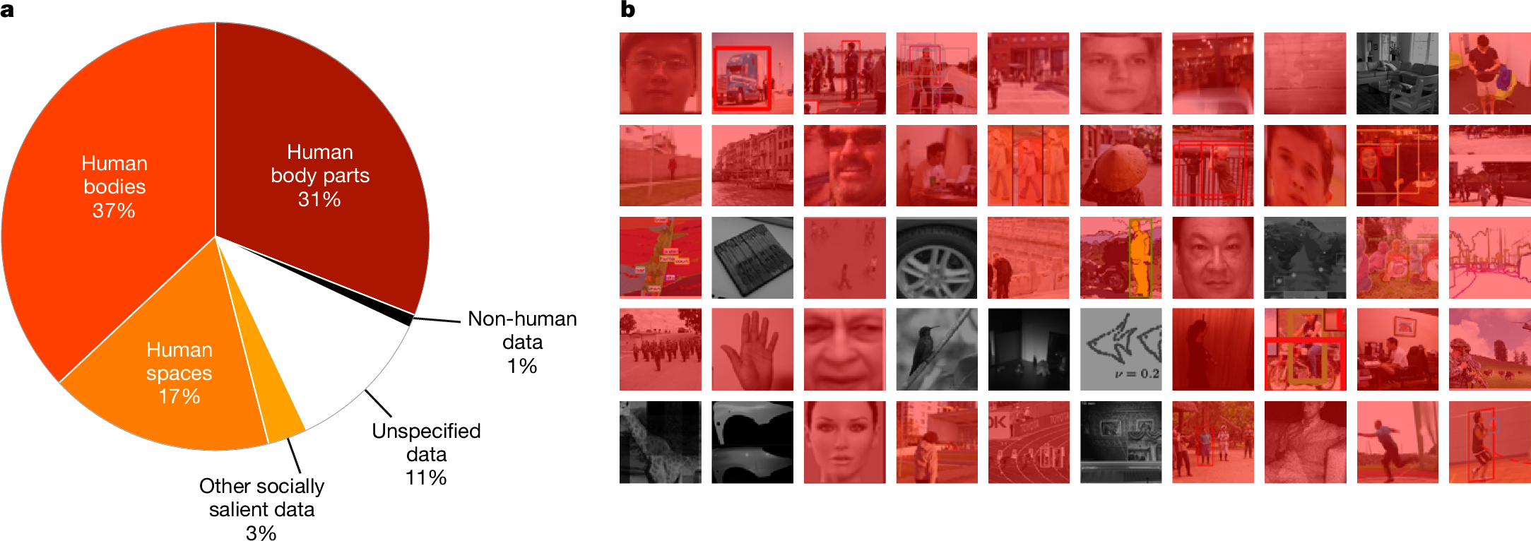 Computer-vision research powers surveillance technology | Nature