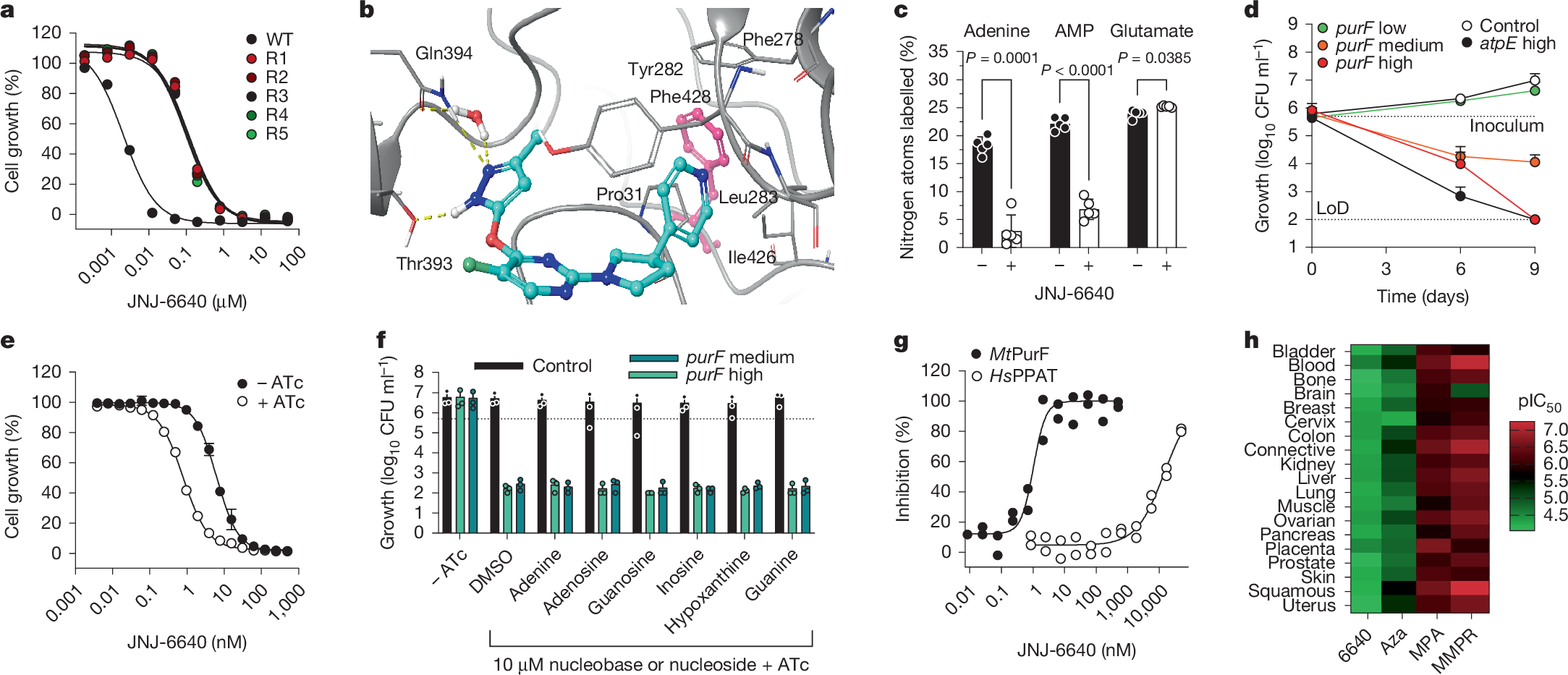 Fig. 2: JNJ-6440 target identification and de-risking.