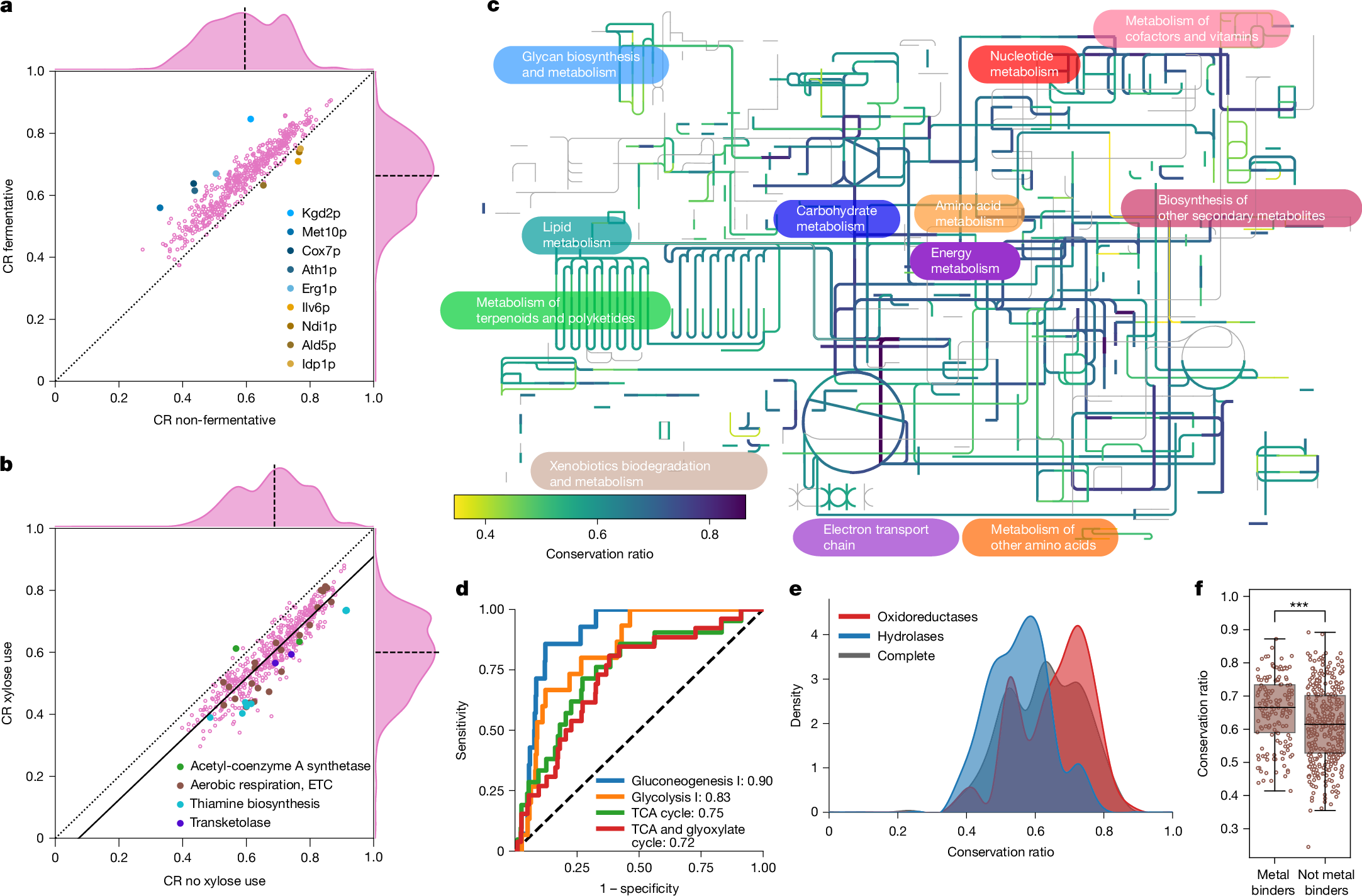 Fig. 2: Metabolic network organization constrains the structural evolution of enzymes in Saccharomycotina.