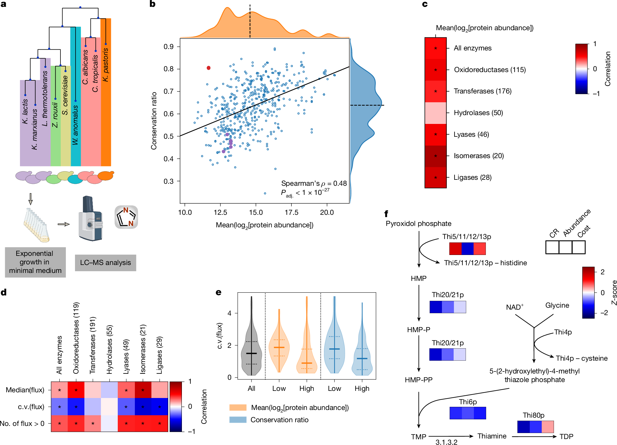 Fig. 3: Roles of enzyme abundance and flux in structural evolution.