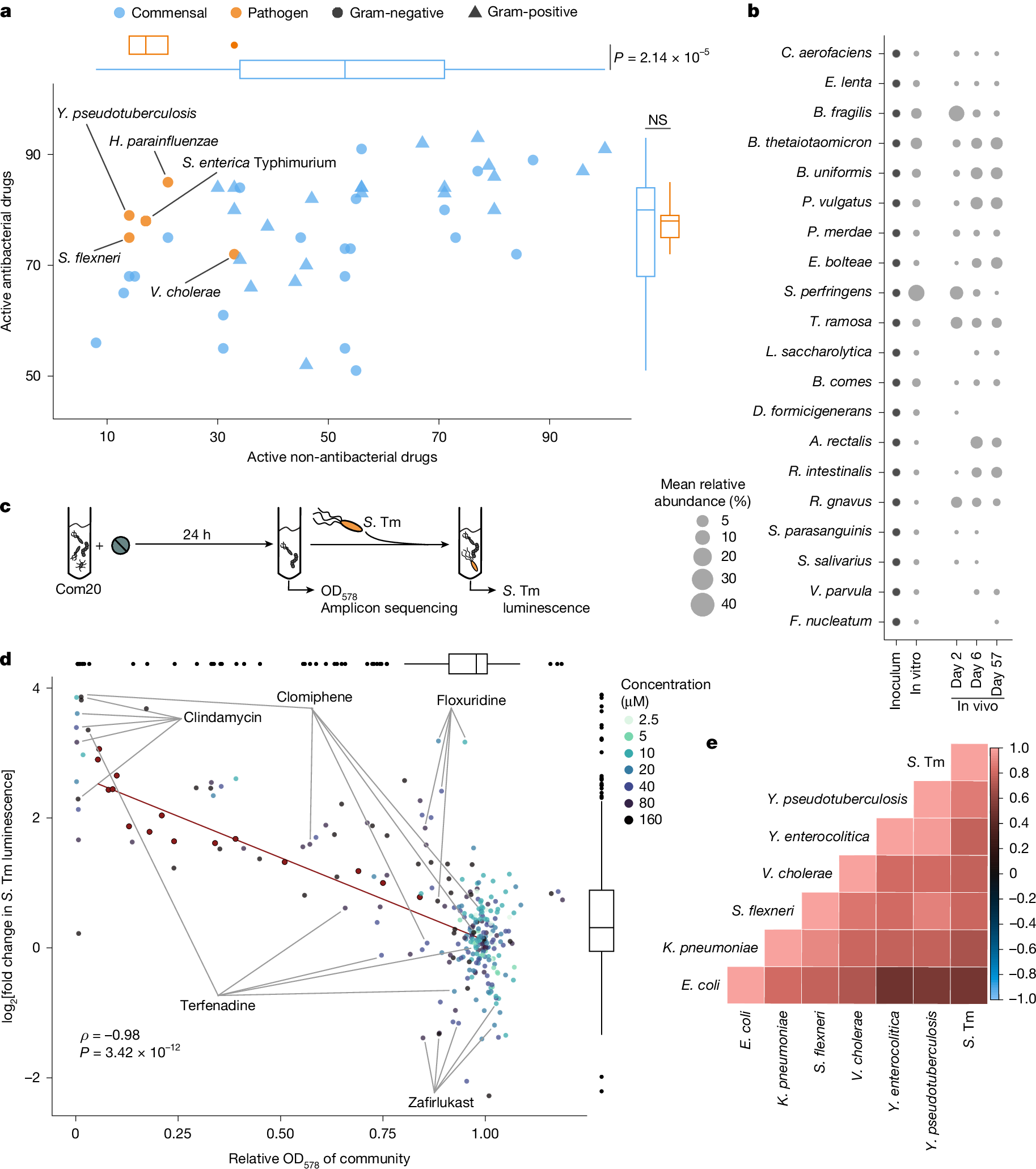 Fig. 1: Pathogenic Gammaproteobacteria are more resistant to non-antibiotics than commensal gut bacteria and proliferate in drug-perturbed microbial communities.