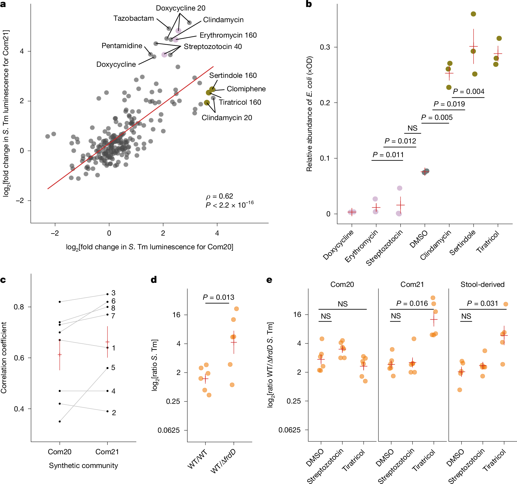 Fig. 3: S. Tm growth in drug-disrupted communities is modulated by the effect of treatment on the close niche competitor E. coli ED1α.