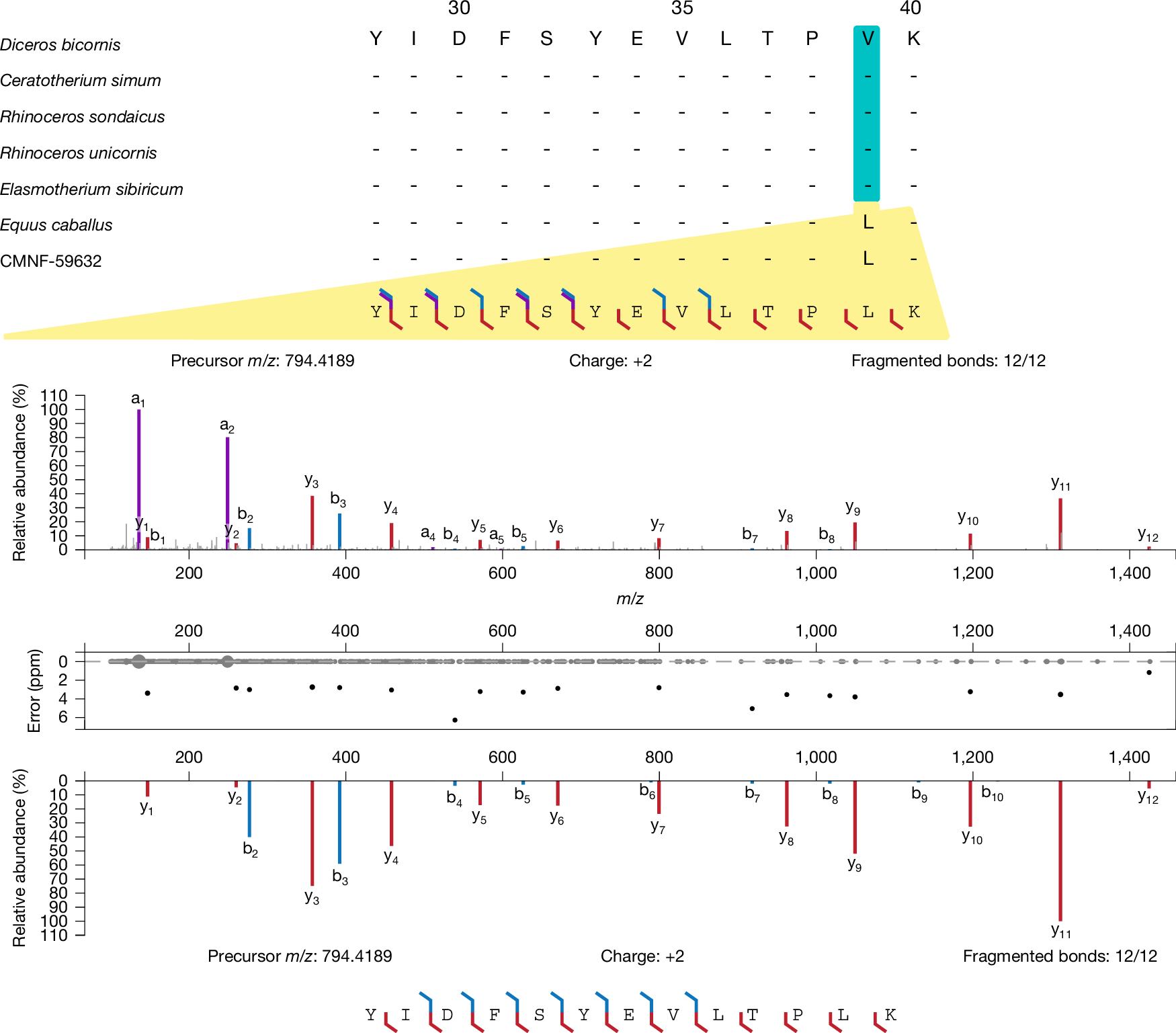 Fig. 3: Abridged alignment and mirror plots of a phylogenetically informative SAP at AMELX-39.