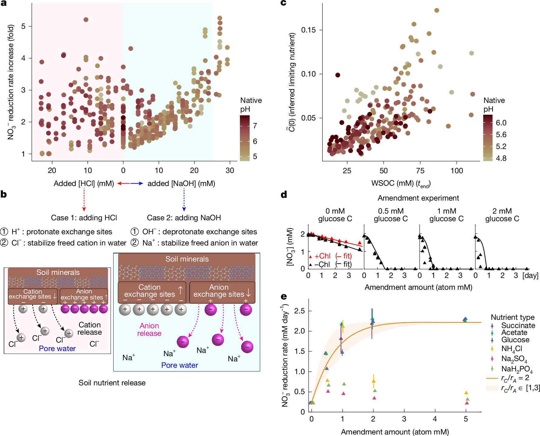 Fig. 5: Carbon limits growth in Regime II and is released from the soil matrix.