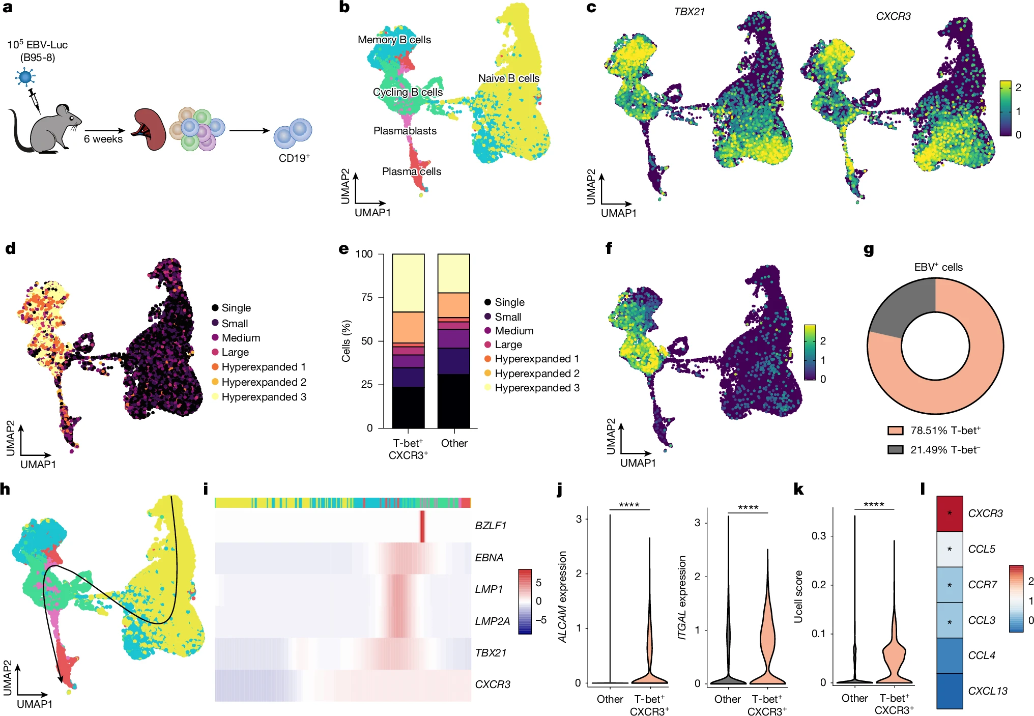 Illustration aus dem Paper