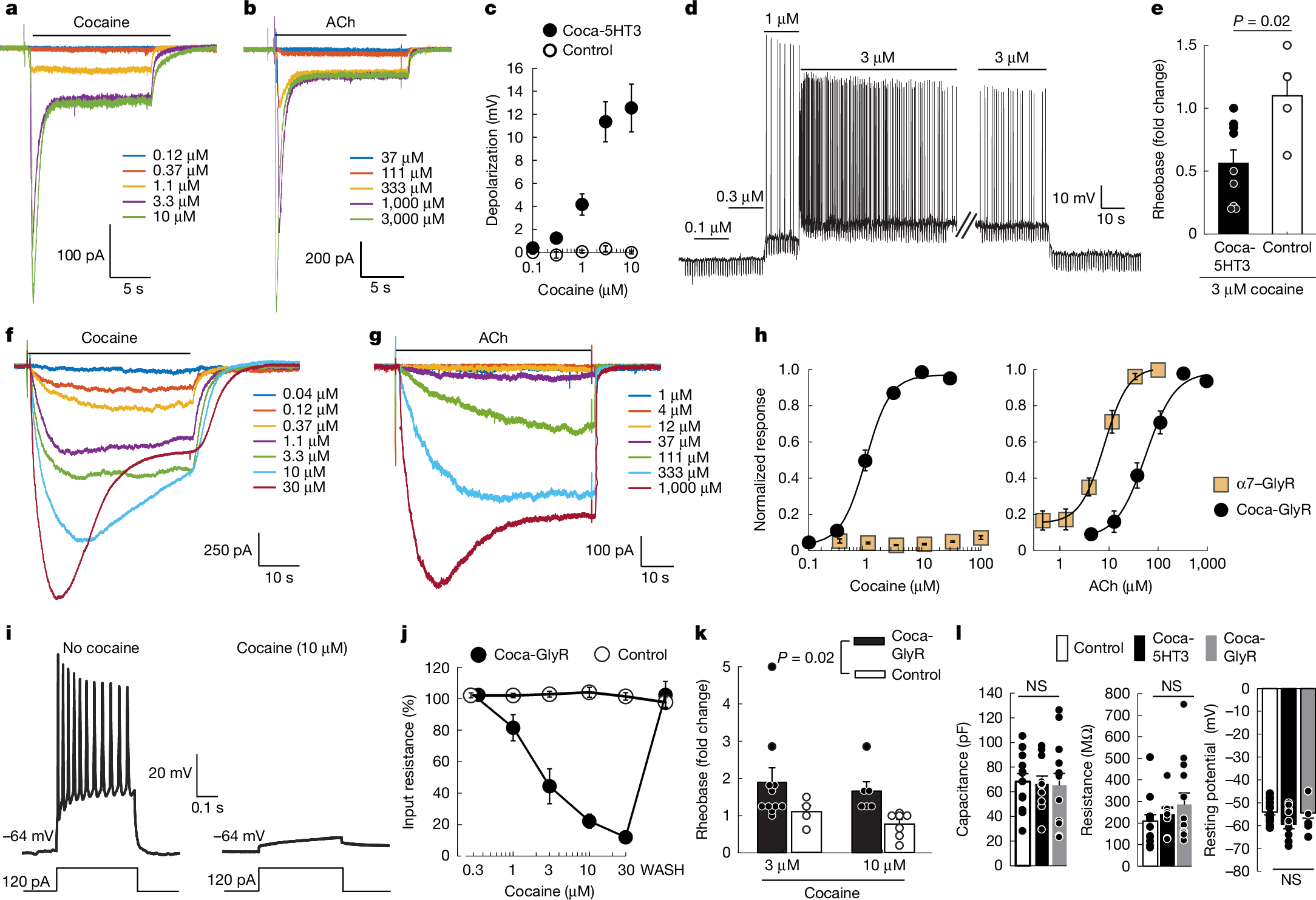 Fig. 2: Functional properties of excitatory and inhibitory cocaine-gated ion channels.