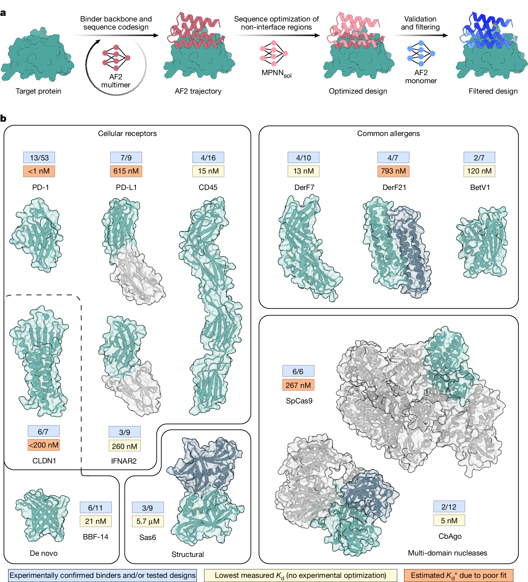 BindCraft:タンパク質設計を革新するオープンプラットフォーム(An open-source AI platform to democratize protein design)