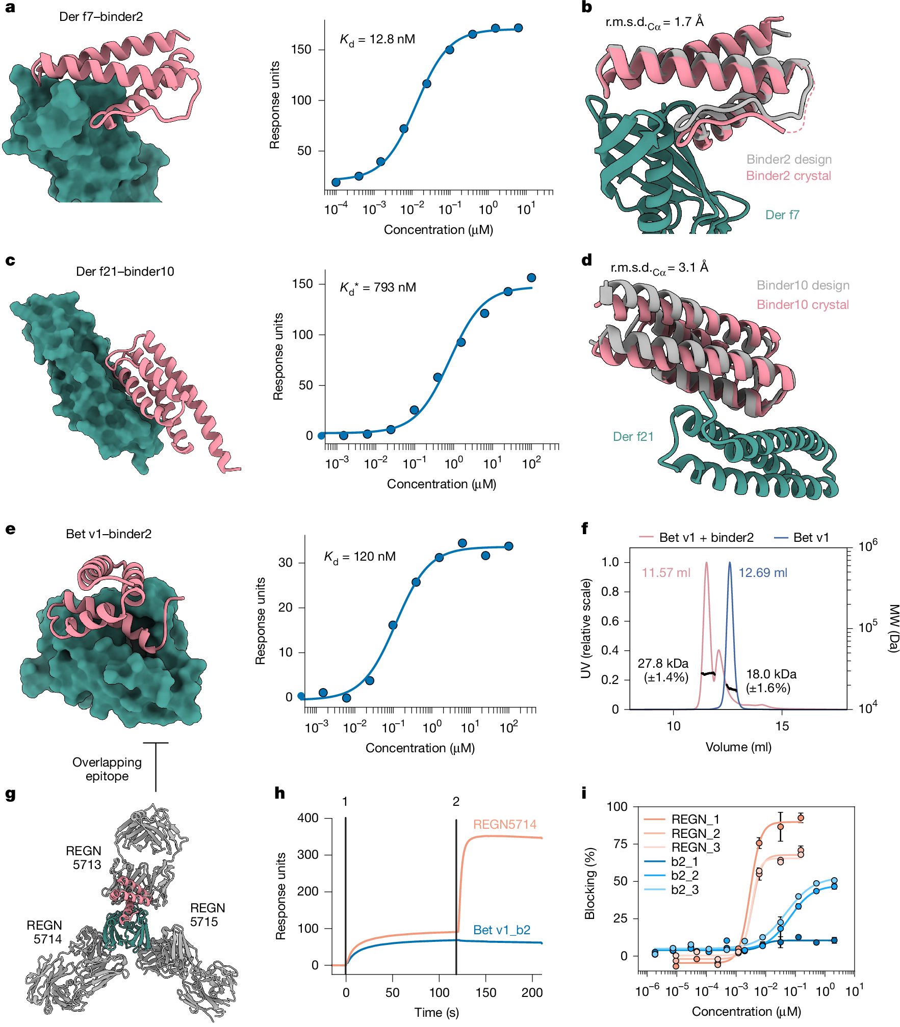 Fig. 3: Designs occluding epitopes of common allergens.