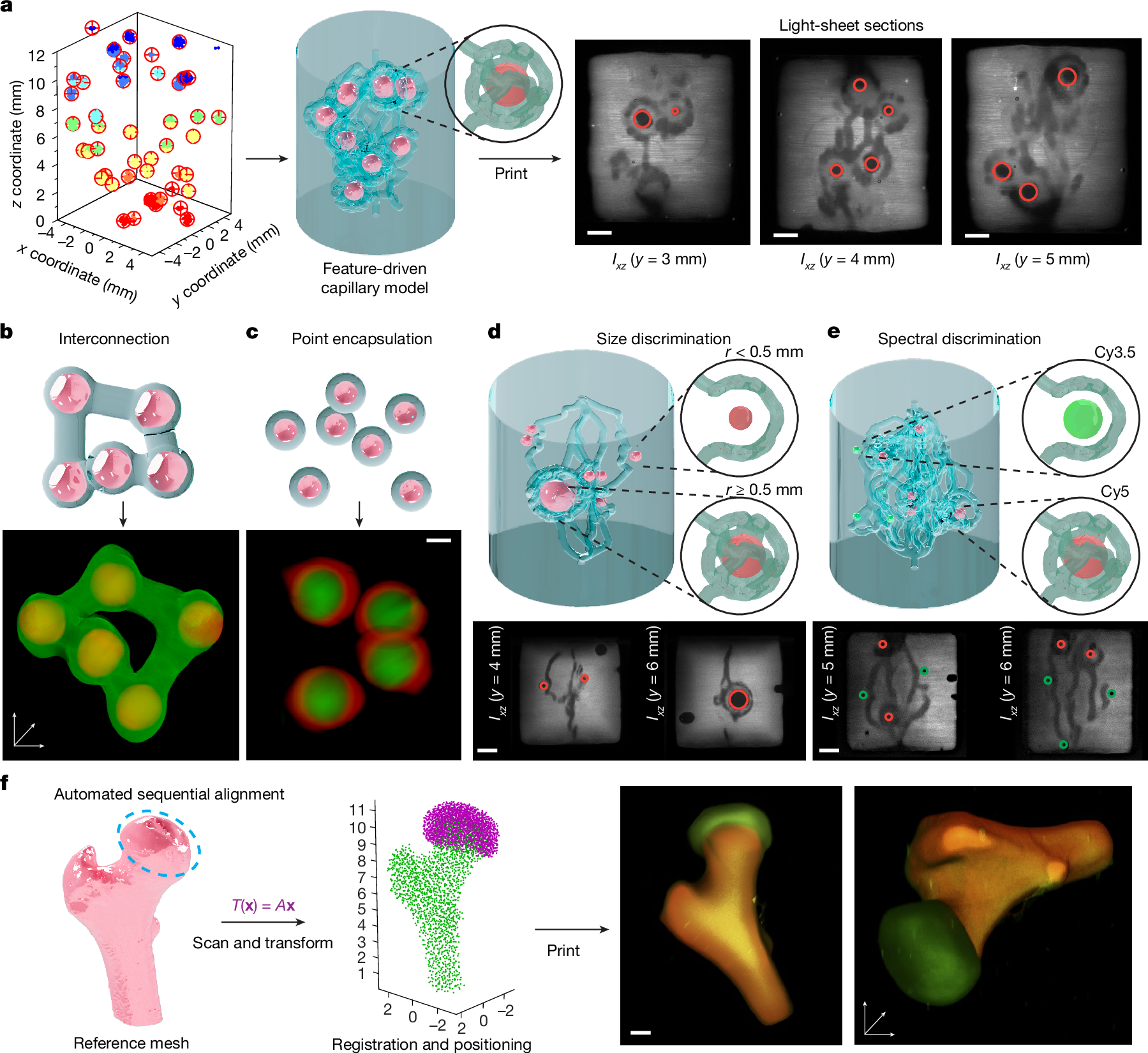 Fig. 2: GRACE allows printing adaptive and feature-driven prints with complex geometries.
