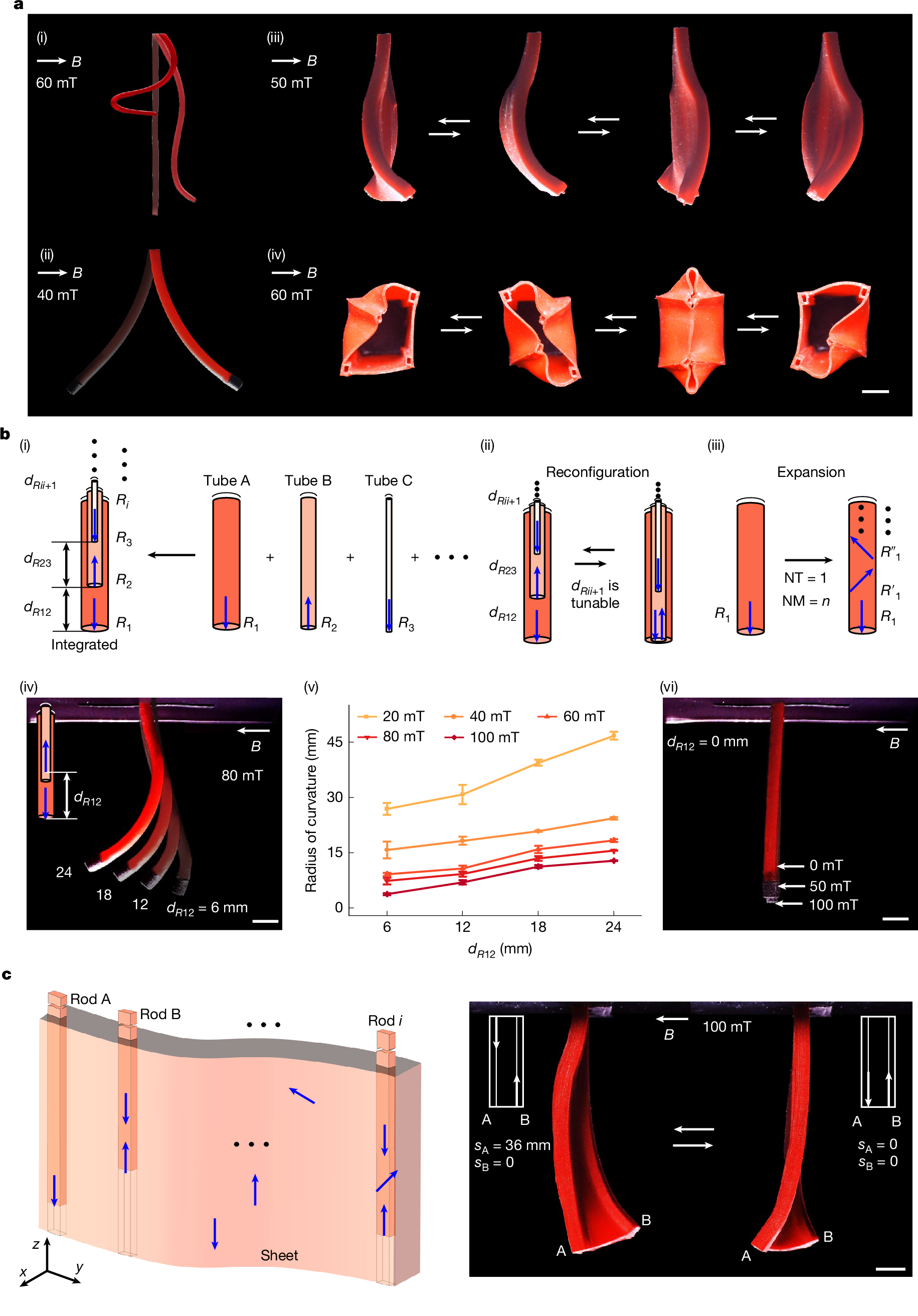 Fig. 1: Illustration of the real-time in situ magnetization reprogramming method.