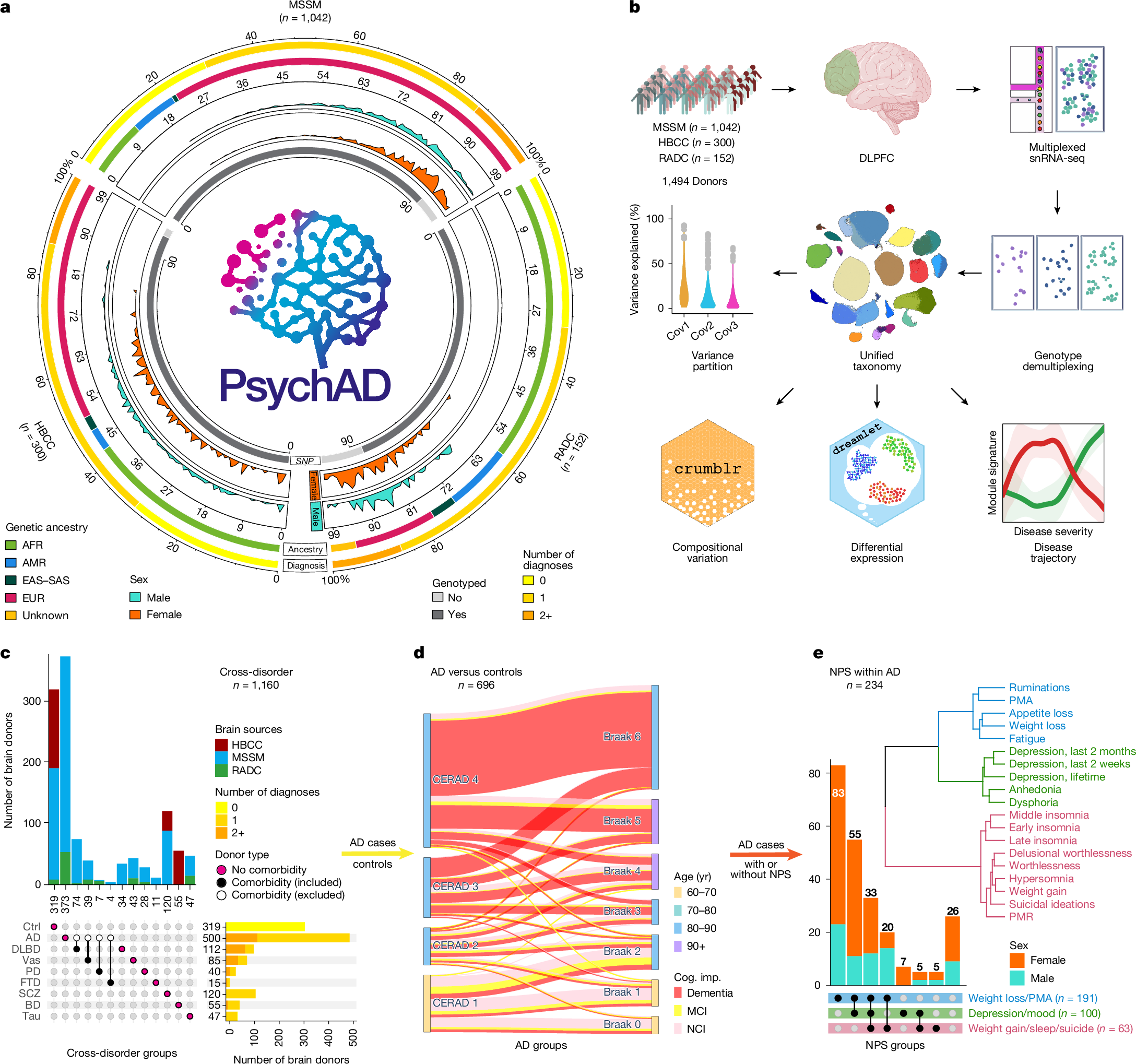 マウントサイナイ研究者主導の9研究、脳疾患の分子・細胞構造を描く論文集に掲載（Nine Studies Led By Mount Sinai Investigators Featured in Coordinated Collection of Papers That Map the Molecular and Cellular Architecture of Brain Disorders）