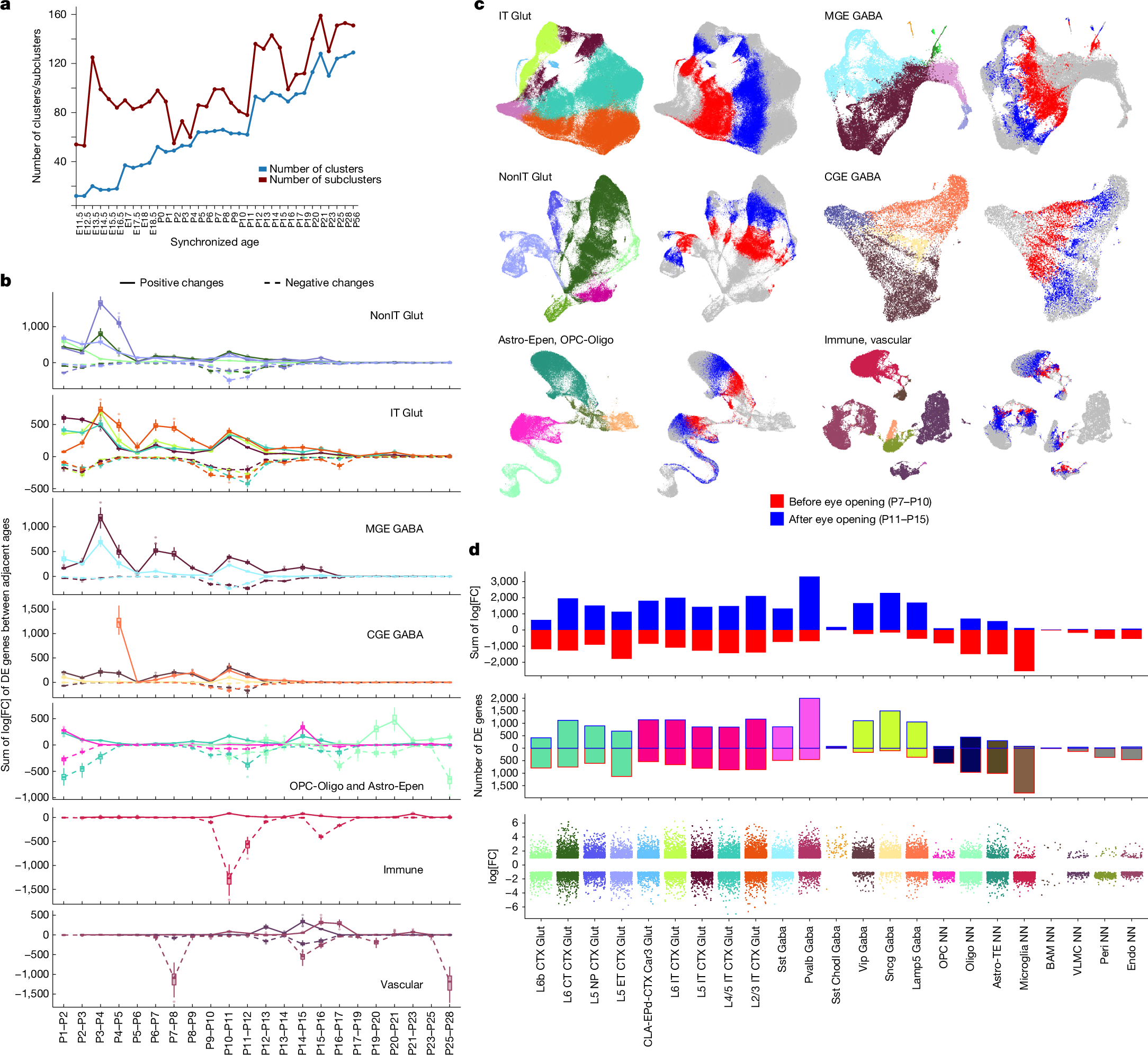 Fig. 5: Dynamic gene expression changes before and after eye opening.