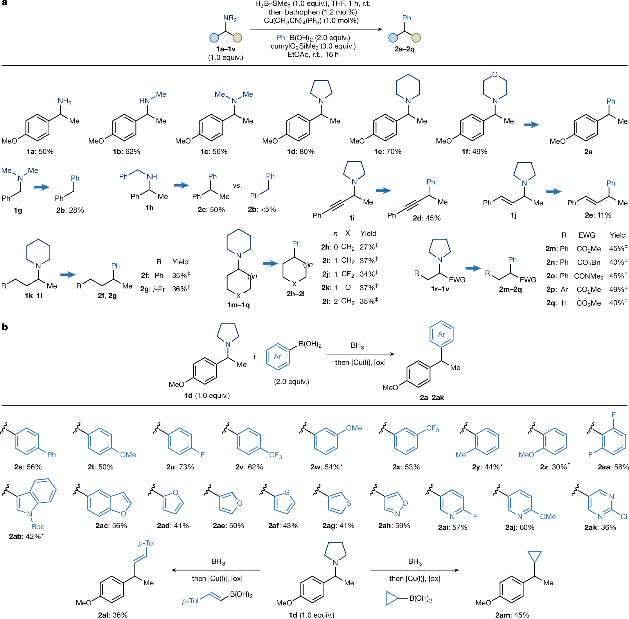 Fig. 2: Scope for the deaminative arylation.