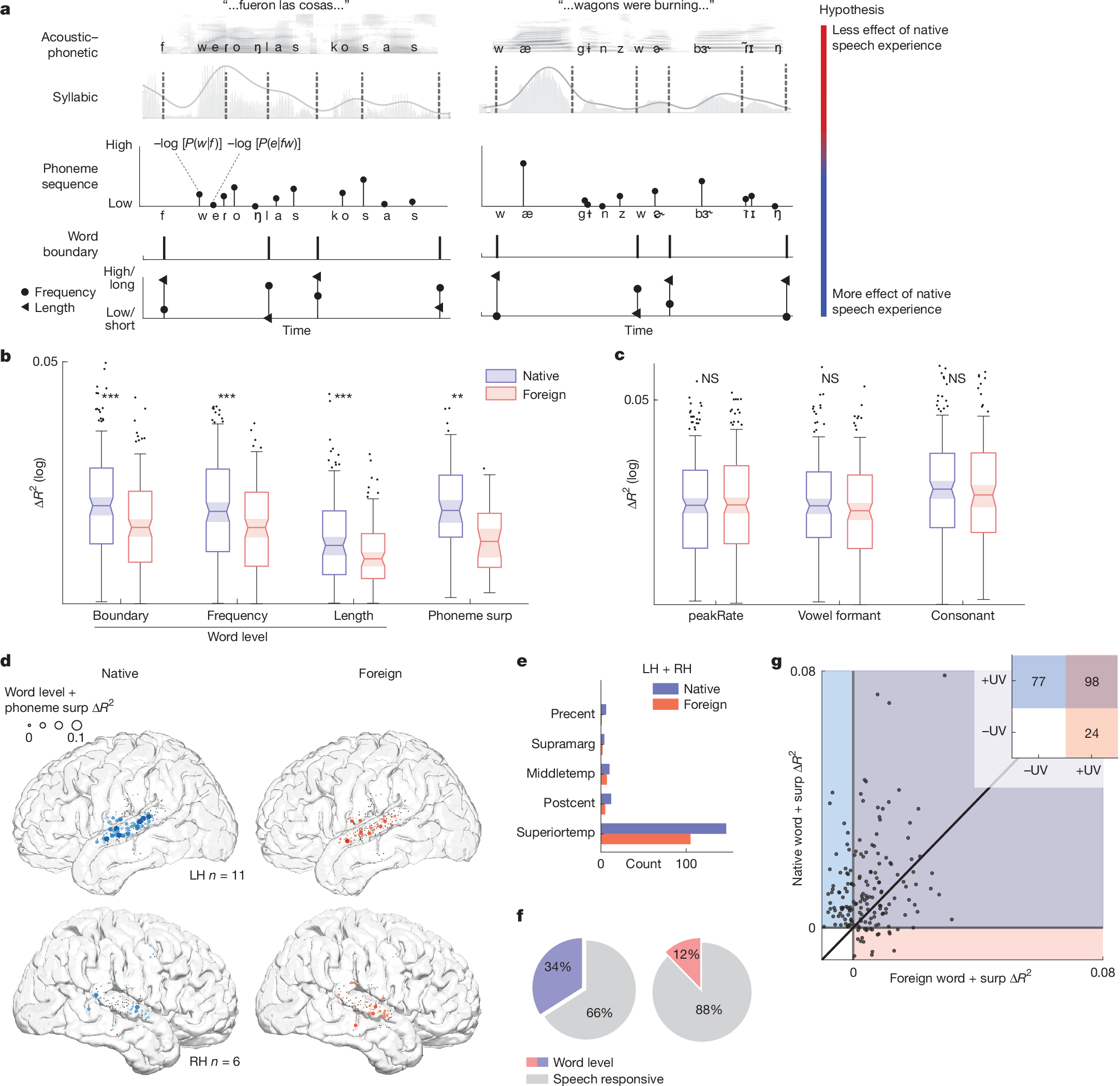 Fig. 2: Enhanced encoding of word-level and phoneme-surprisal features in native speech.