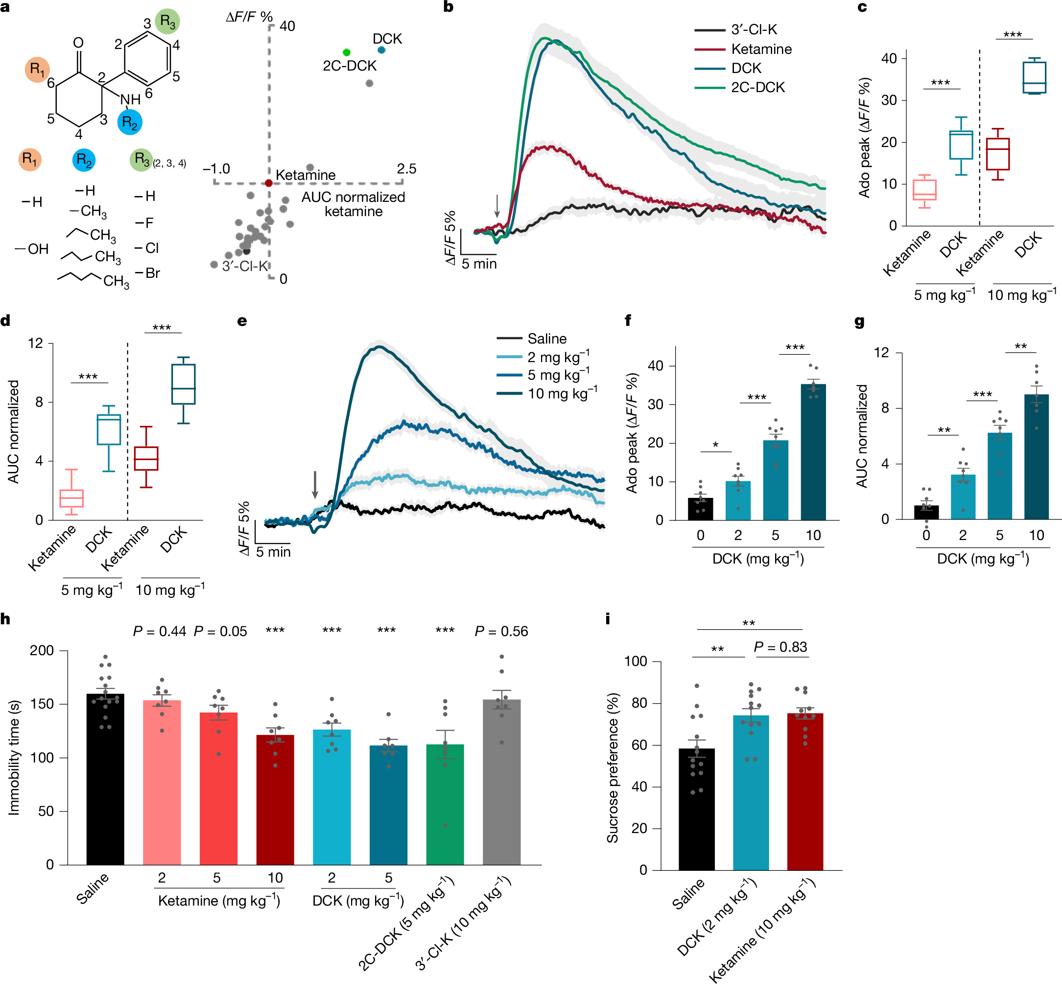 Fig. 4: Adenosine-based screening identifies ketamine analogues with potent antidepressant-like effects.