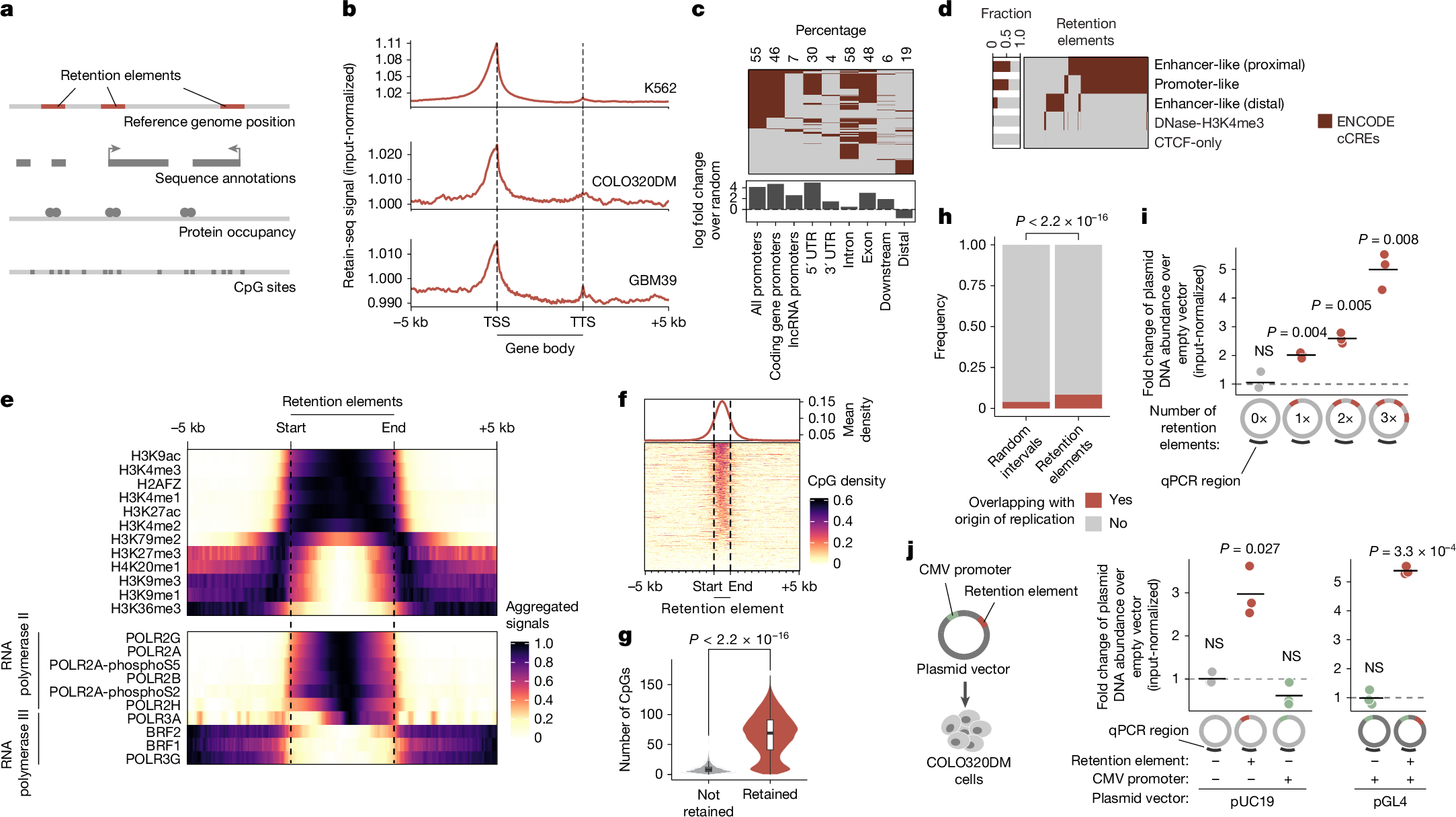 Fig. 2: Sequence features of retention elements.
