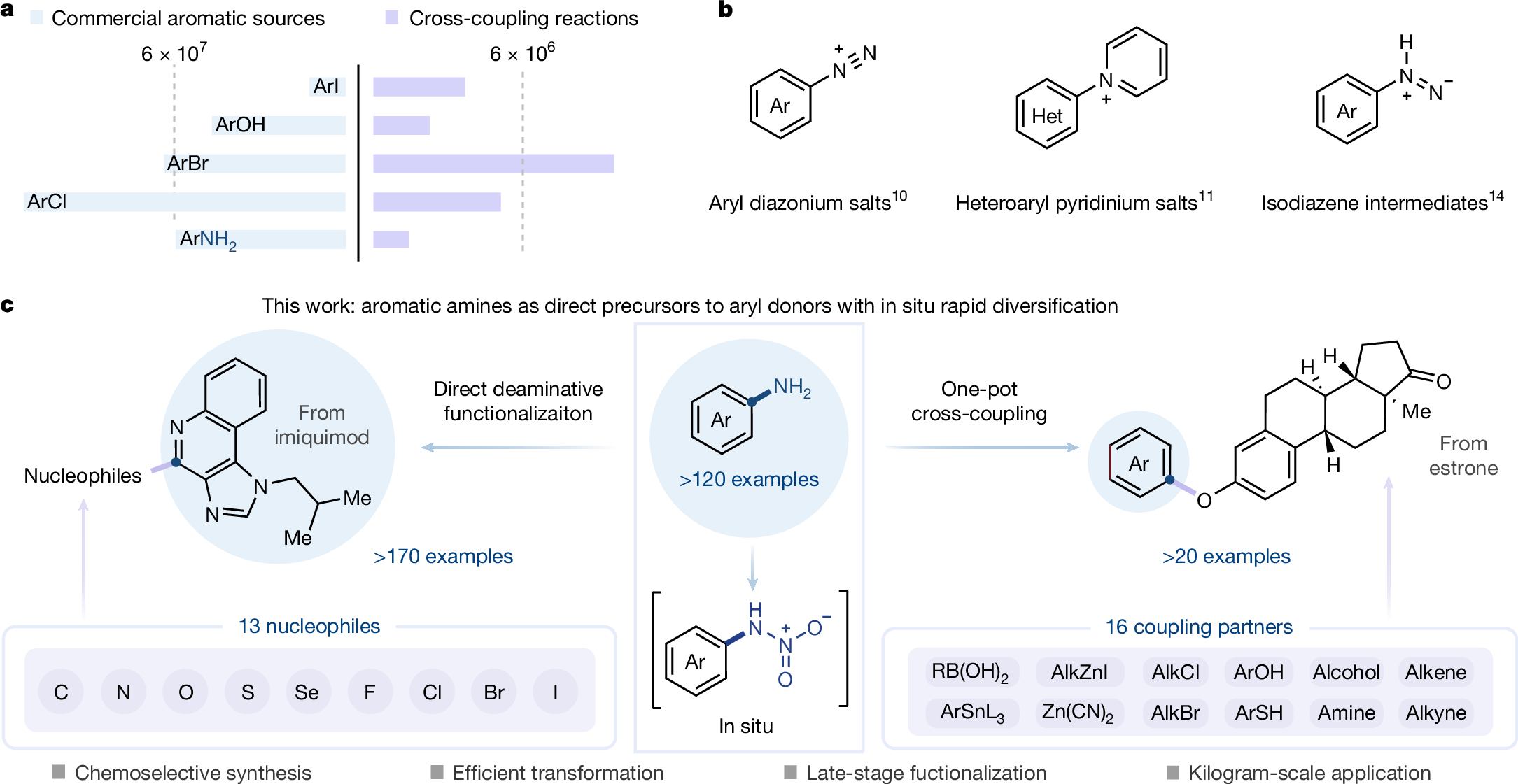 Fig. 1: Direct deaminative functionalization of aromatic amines.